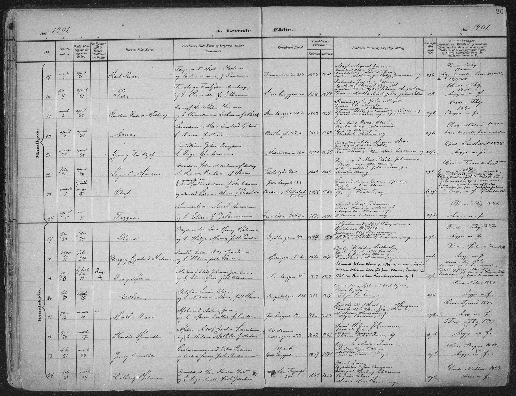 Tønsberg kirkebøker, SAKO/A-330/F/Fa/L0014: Parish register (official) no. I 14, 1900-1913, p. 20