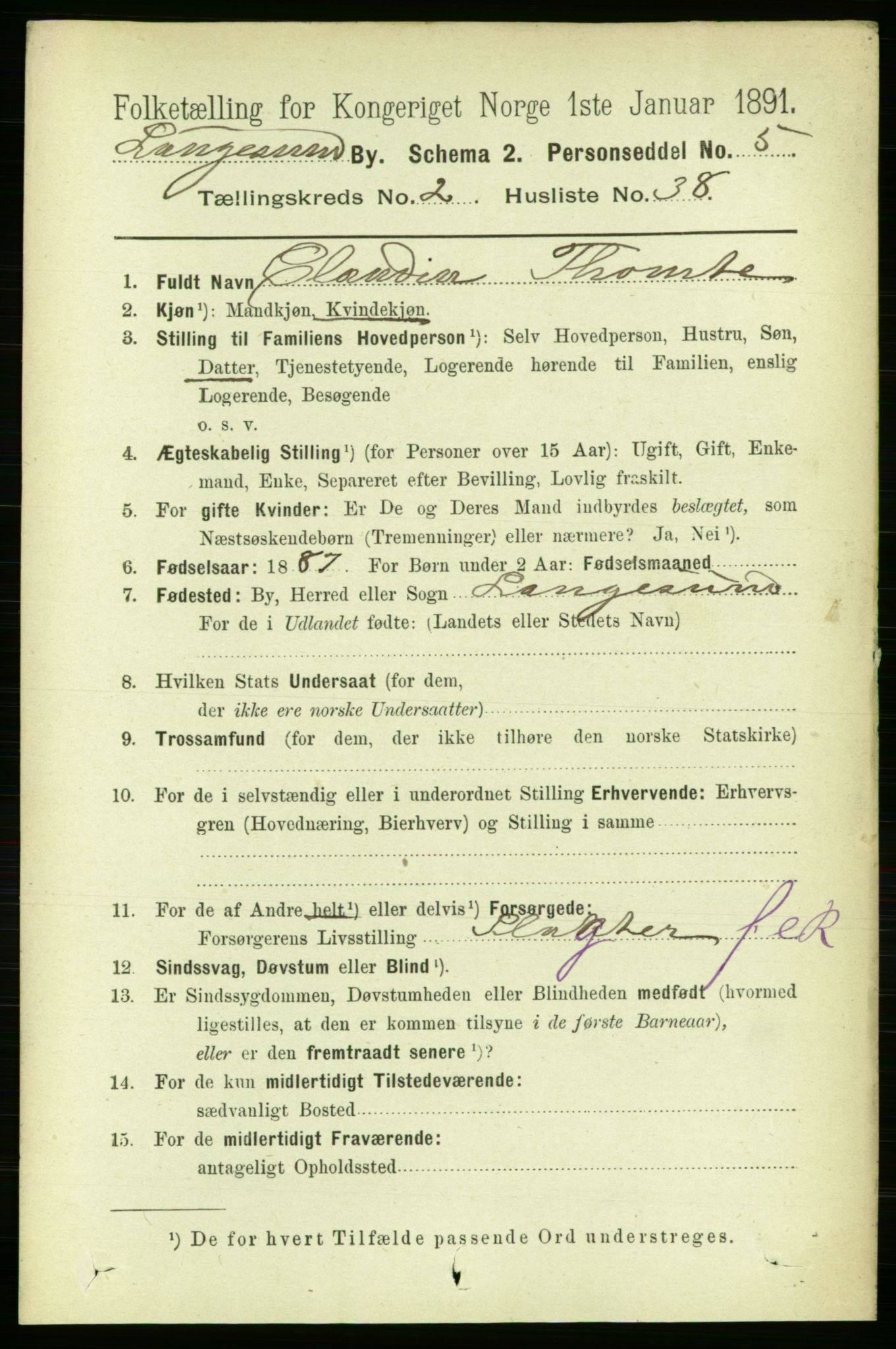 RA, 1891 census for 0802 Langesund, 1891, p. 894