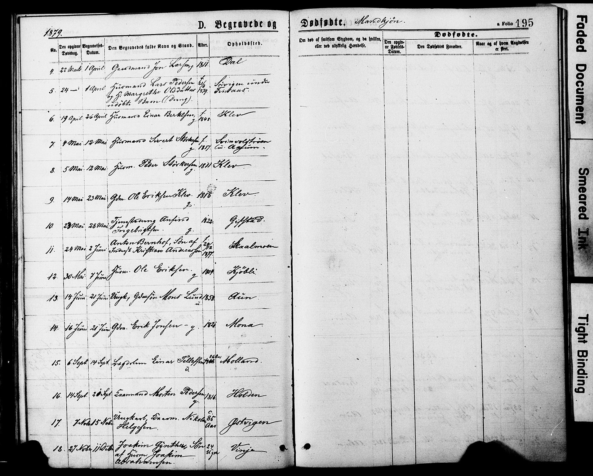 Ministerialprotokoller, klokkerbøker og fødselsregistre - Nord-Trøndelag, SAT/A-1458/749/L0473: Parish register (official) no. 749A07, 1873-1887, p. 195