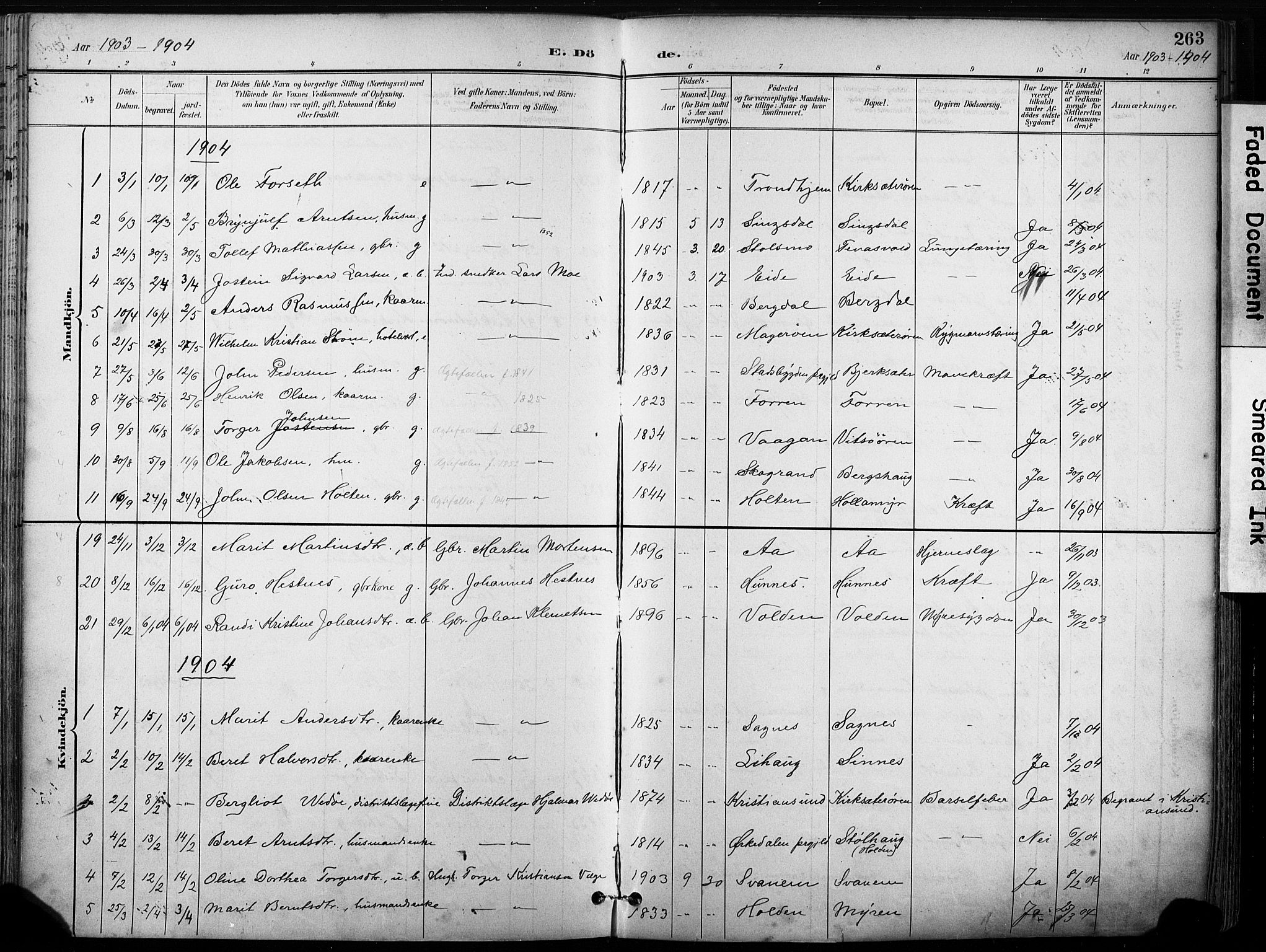 Ministerialprotokoller, klokkerbøker og fødselsregistre - Sør-Trøndelag, SAT/A-1456/630/L0497: Parish register (official) no. 630A10, 1896-1910, p. 263