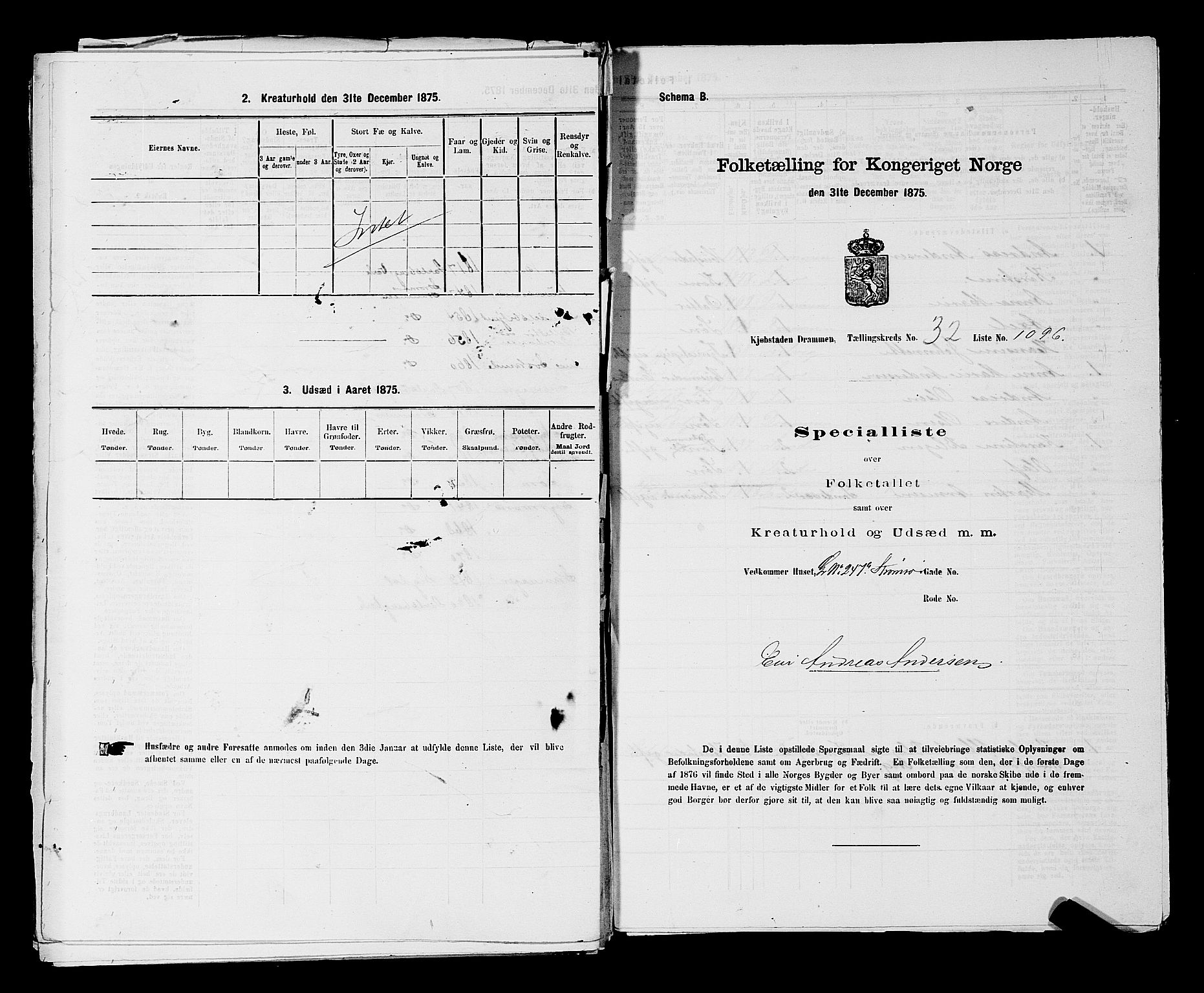SAKO, 1875 census for 0602 Drammen, 1875, p. 2925