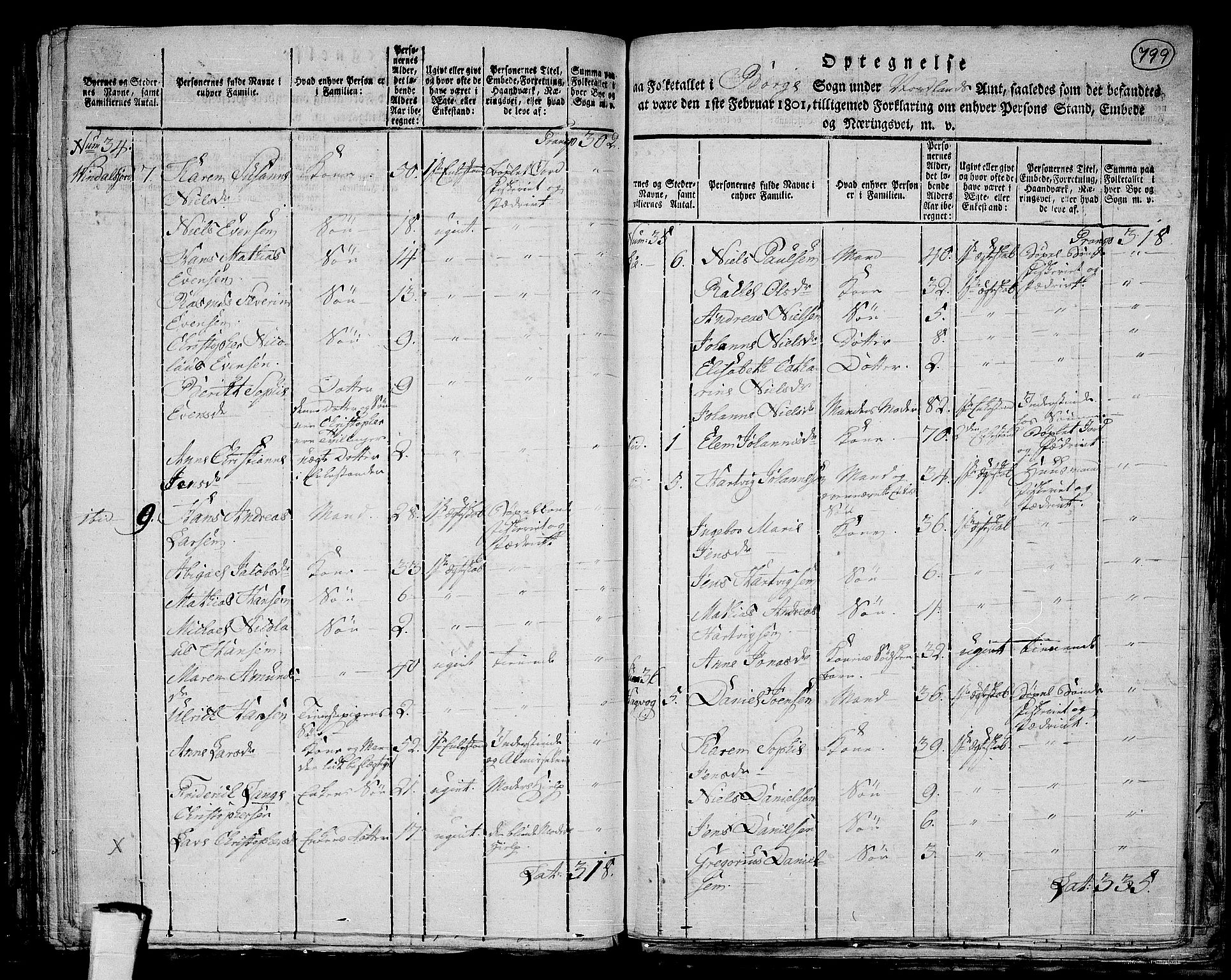 RA, 1801 census for 1862P Borge, 1801, p. 798b-799a