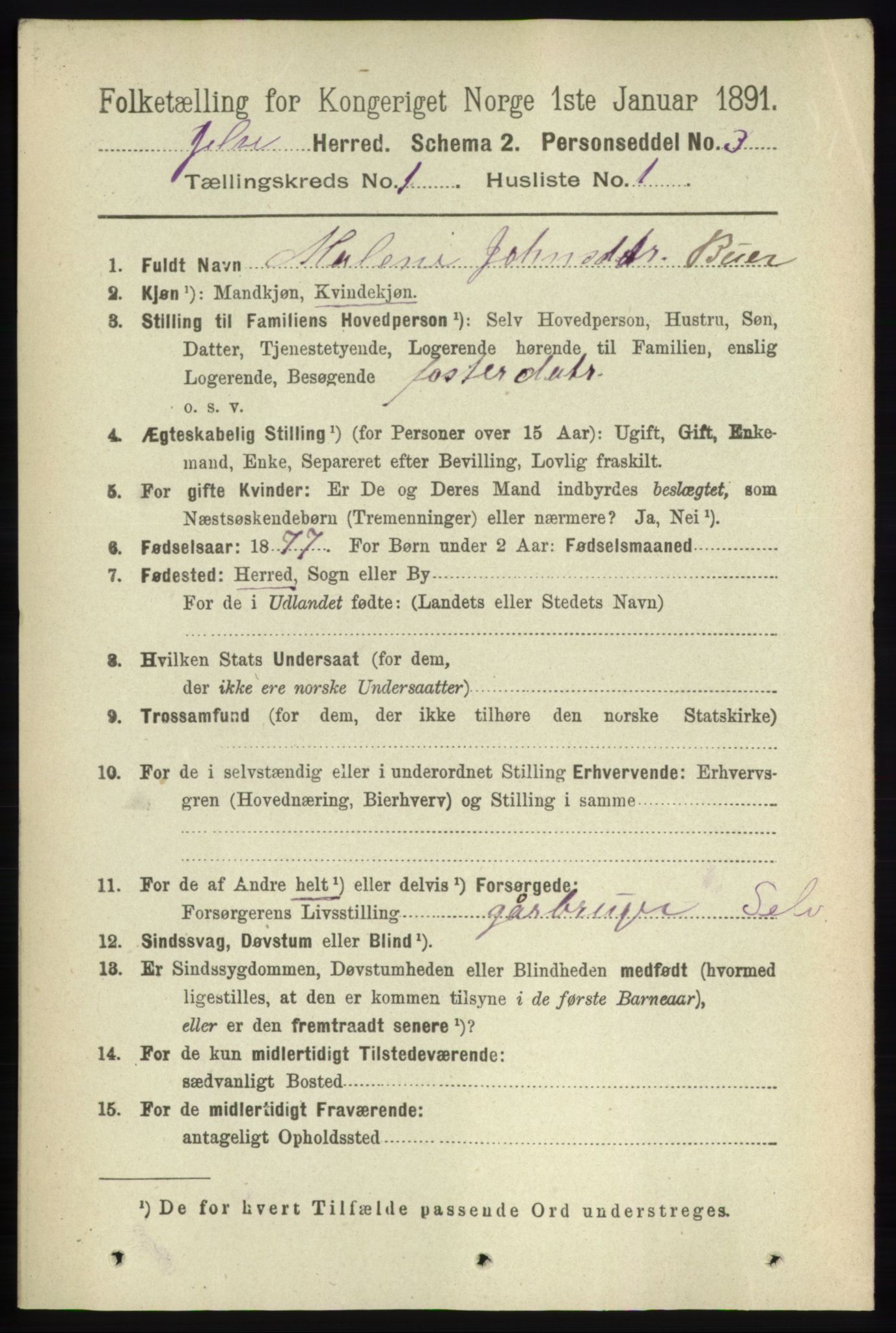 RA, 1891 census for 1138 Jelsa, 1891, p. 74