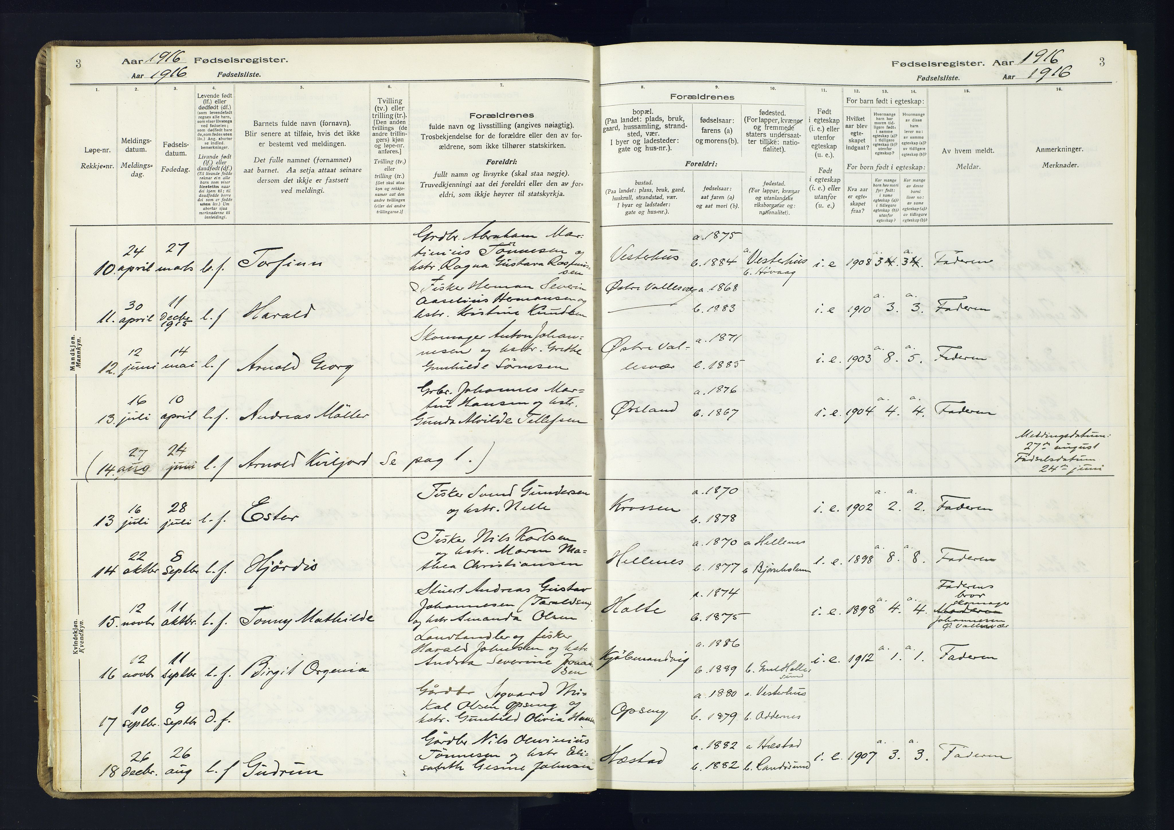 Høvåg sokneprestkontor, AV/SAK-1111-0025/J/Ja/L0001: Birth register no. II.4.2, 1916-1982, p. 3