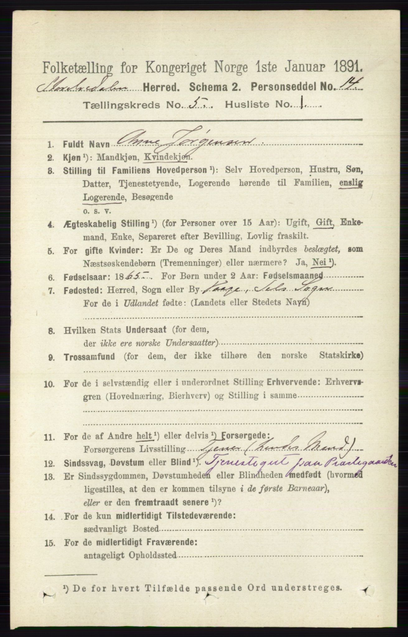 RA, 1891 census for 0430 Stor-Elvdal, 1891, p. 1727