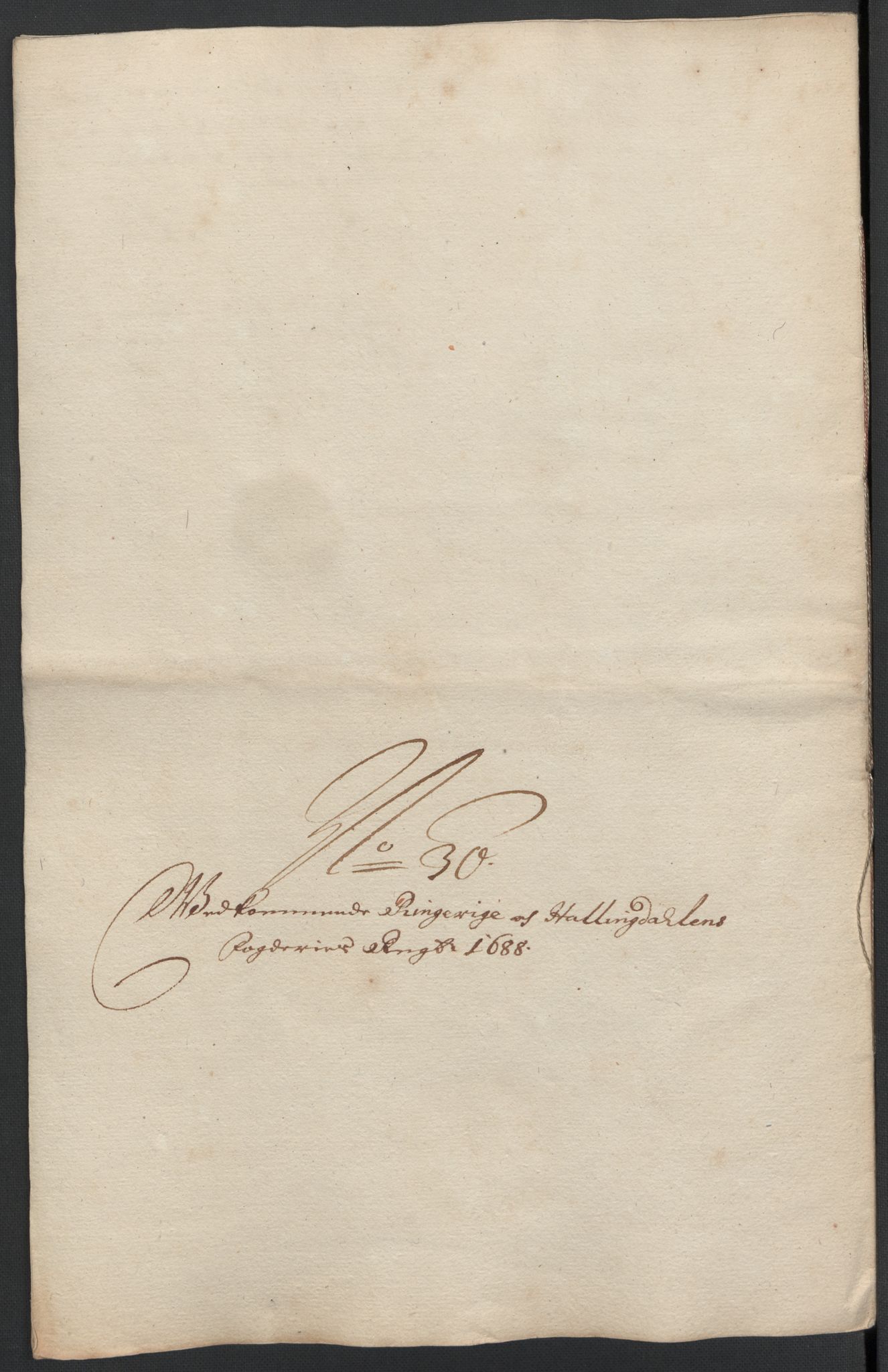 Rentekammeret inntil 1814, Reviderte regnskaper, Fogderegnskap, AV/RA-EA-4092/R21/L1447: Fogderegnskap Ringerike og Hallingdal, 1687-1689, p. 248