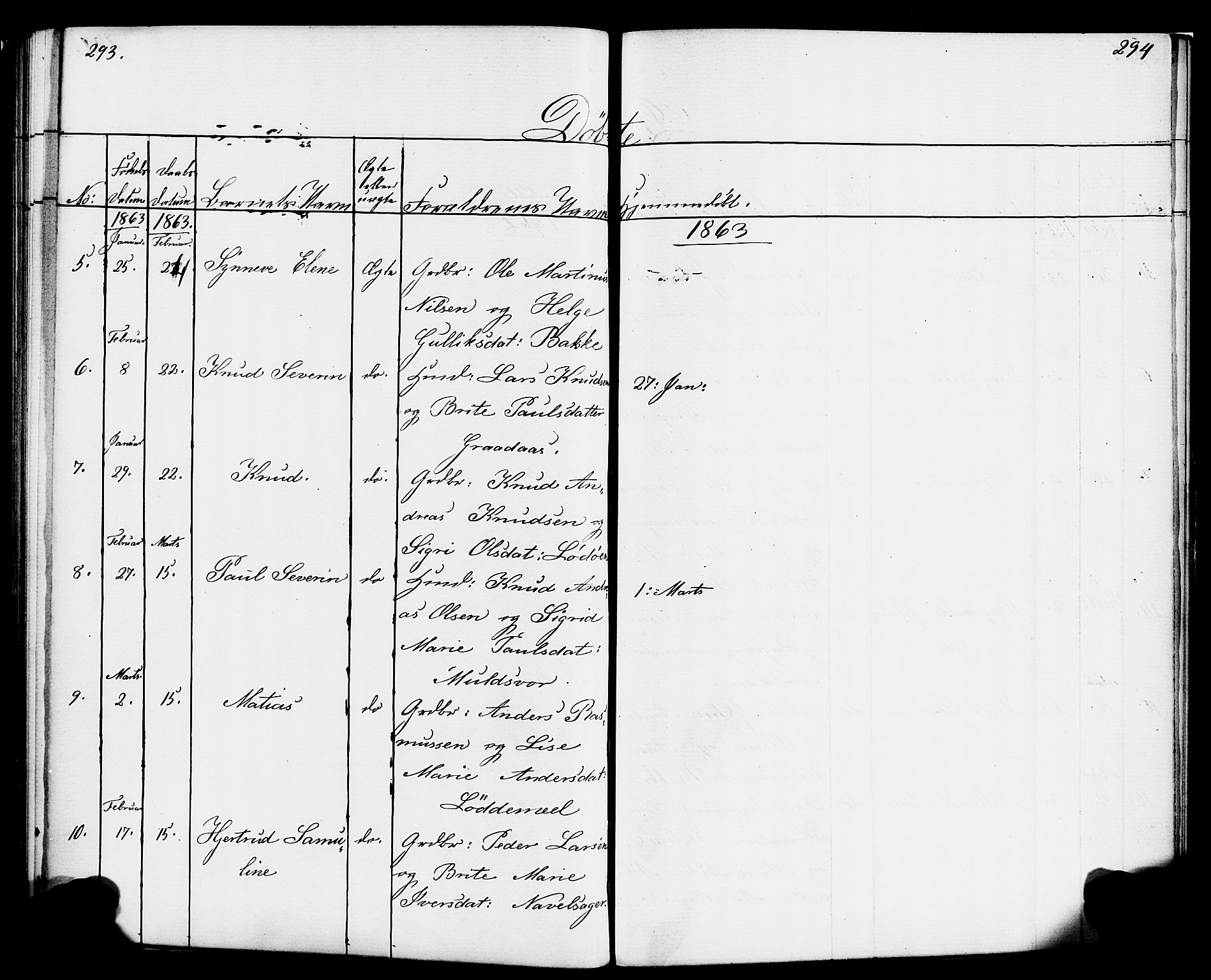 Hornindal sokneprestembete, AV/SAB-A-82401/H/Haa/Haaa/L0001: Parish register (official) no. A 1, 1837-1866, p. 294-295