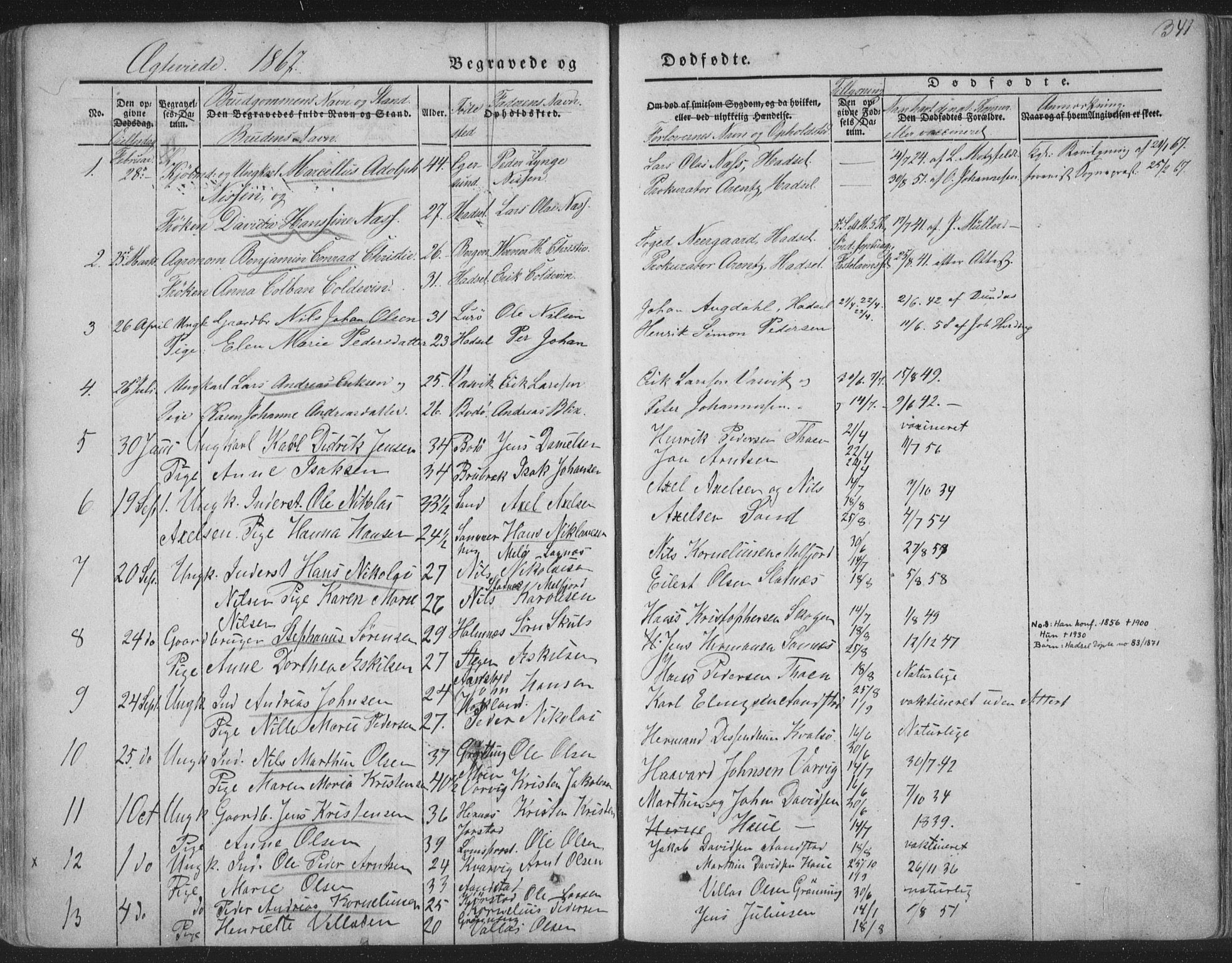 Ministerialprotokoller, klokkerbøker og fødselsregistre - Nordland, AV/SAT-A-1459/888/L1241: Parish register (official) no. 888A07, 1849-1869, p. 341