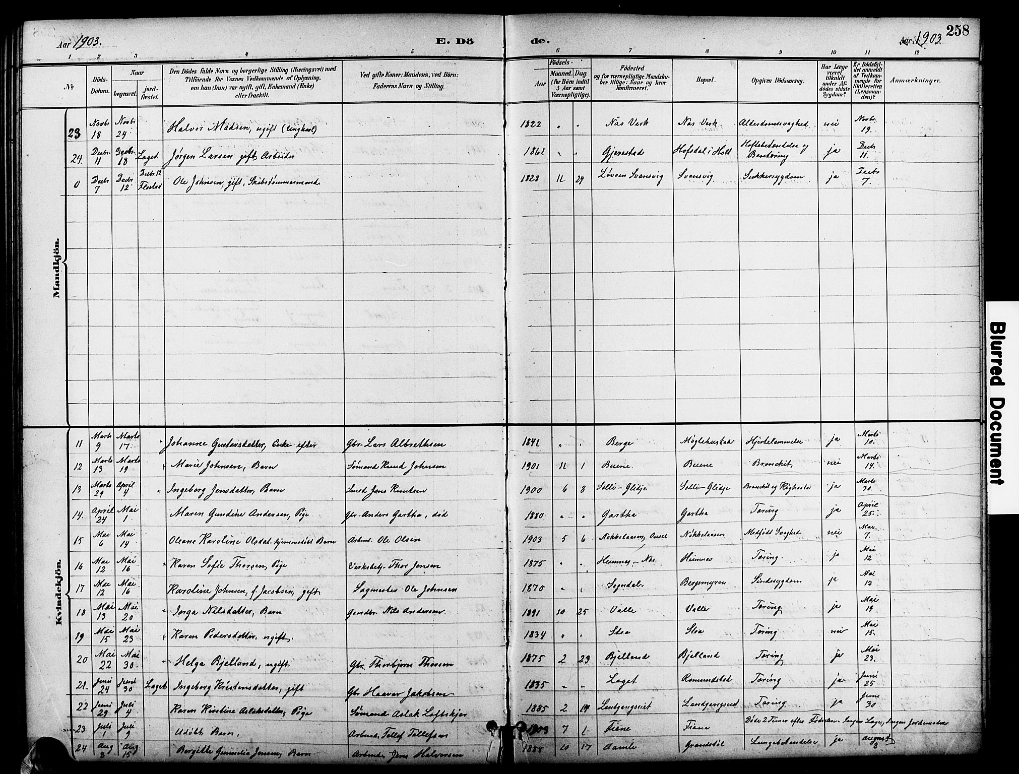 Holt sokneprestkontor, AV/SAK-1111-0021/F/Fb/L0011: Parish register (copy) no. B 11, 1897-1921, p. 258