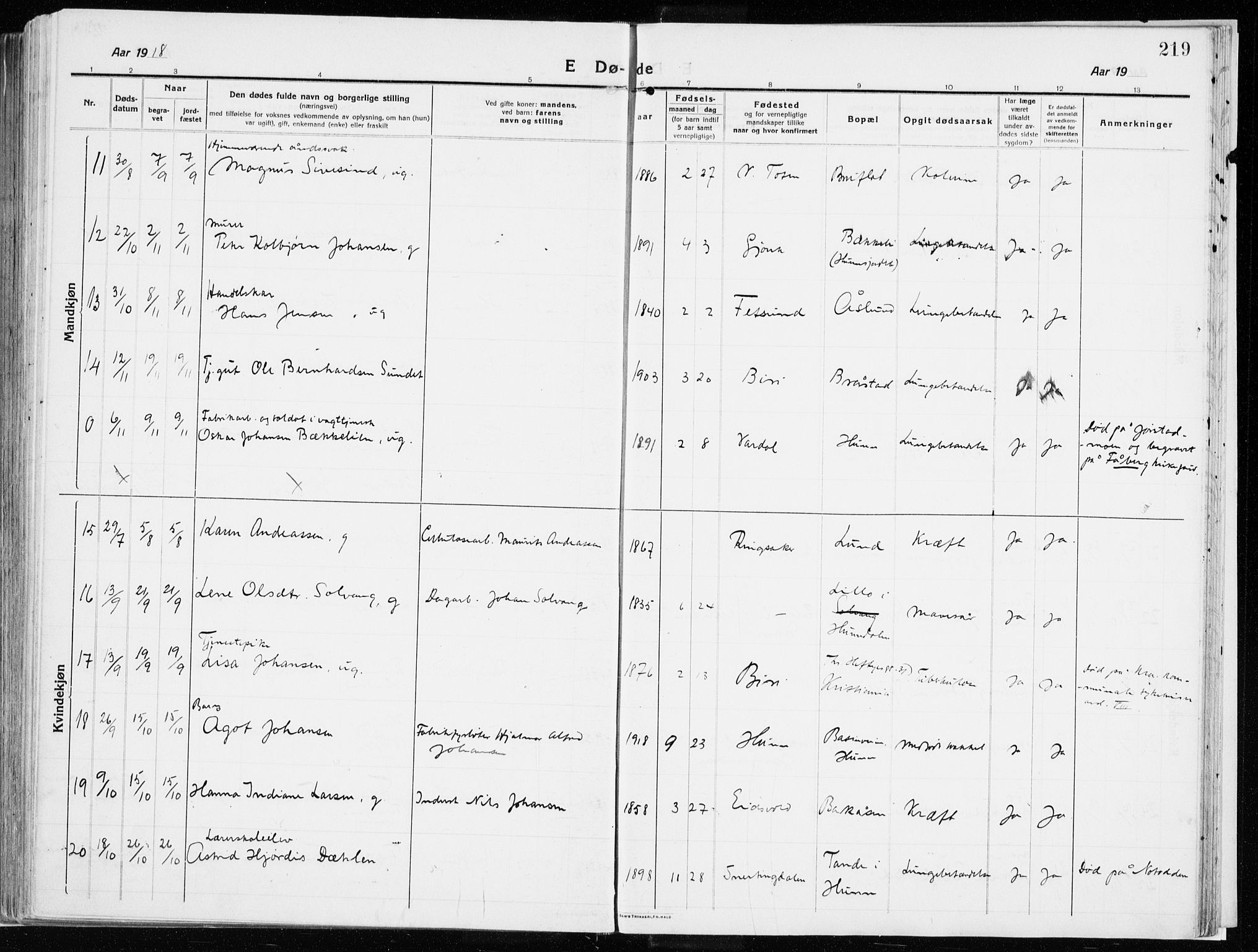 Vardal prestekontor, AV/SAH-PREST-100/H/Ha/Haa/L0017: Parish register (official) no. 17, 1915-1929, p. 219