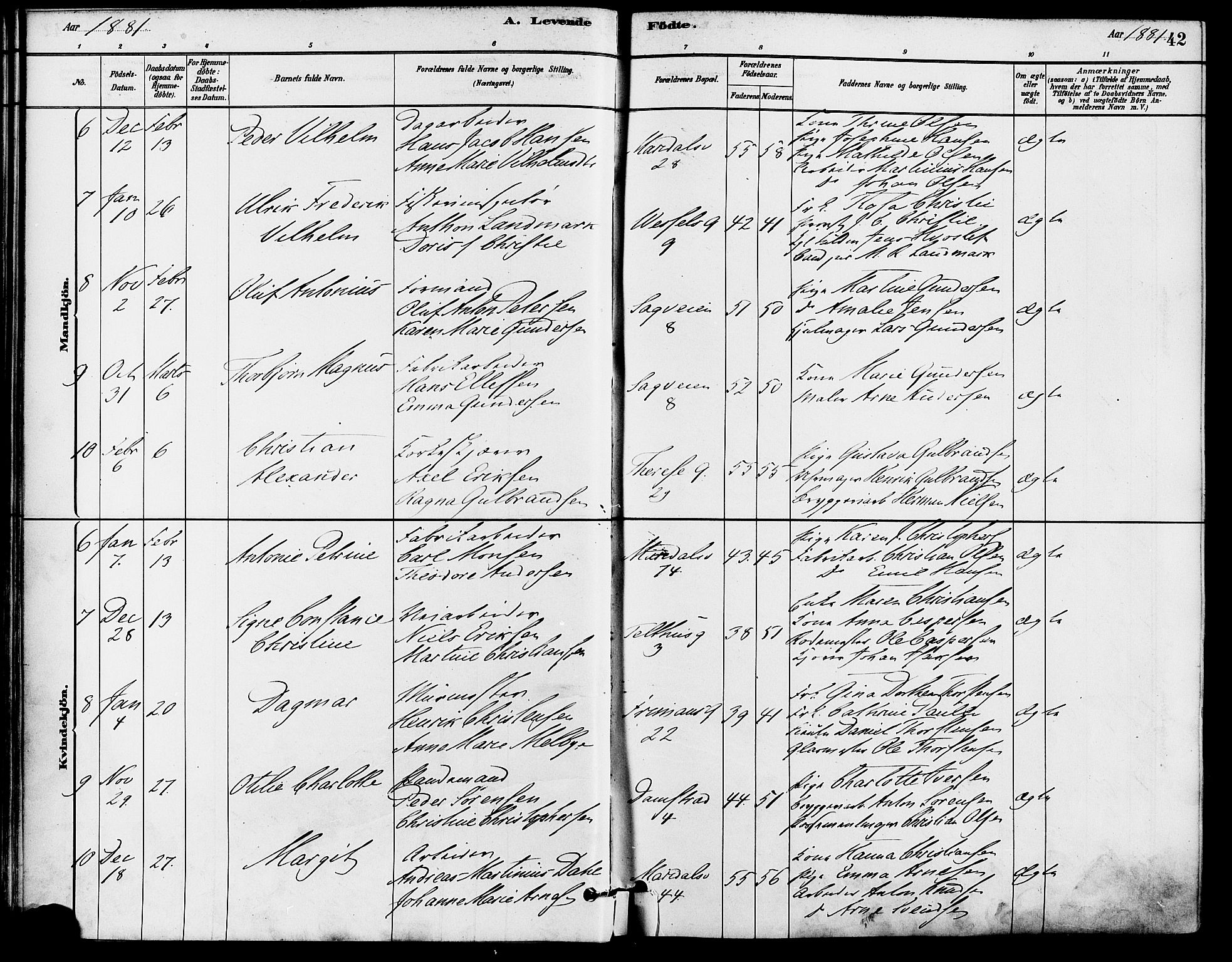 Gamle Aker prestekontor Kirkebøker, SAO/A-10617a/F/L0006: Parish register (official) no. 6, 1880-1887, p. 42