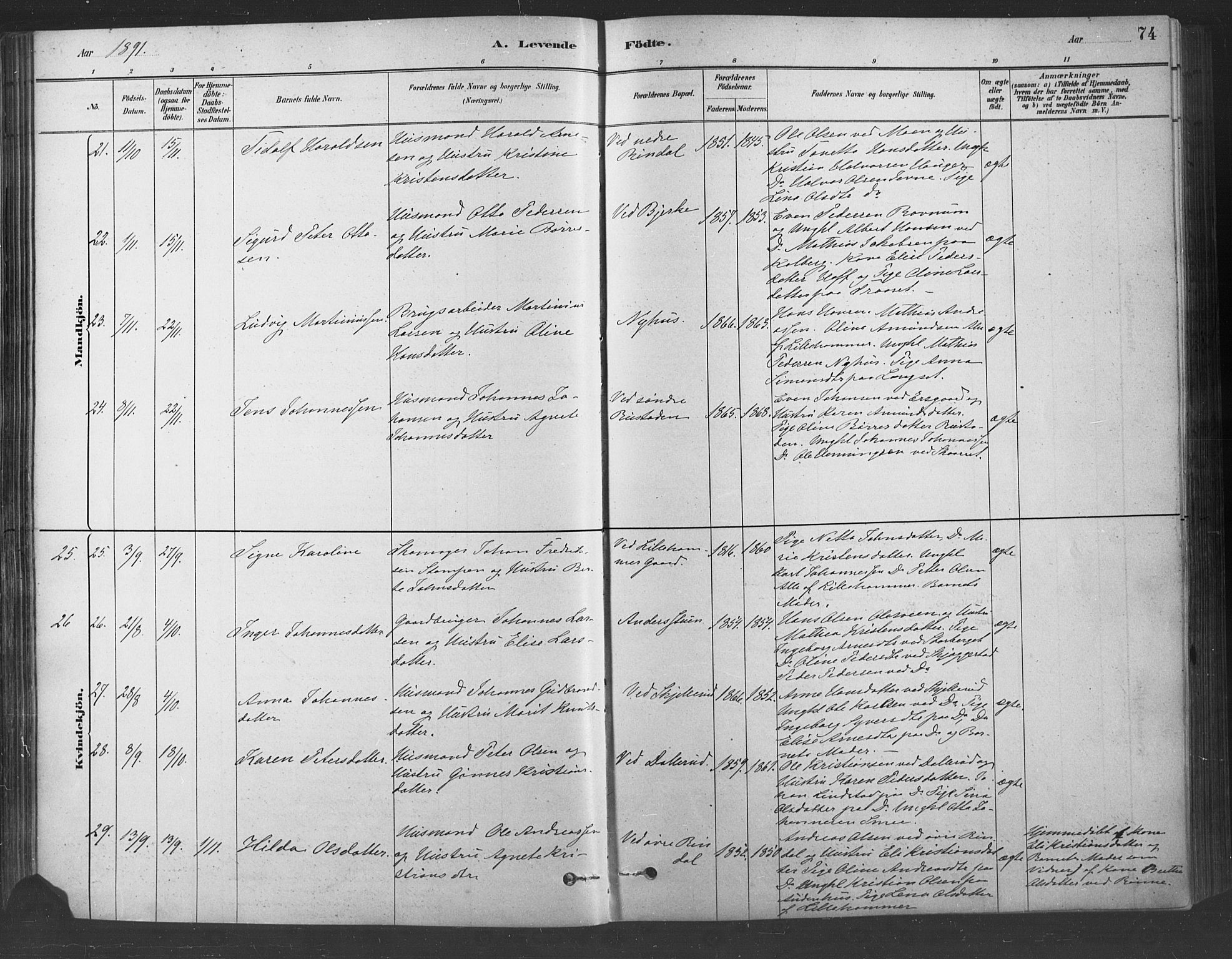 Fåberg prestekontor, SAH/PREST-086/H/Ha/Haa/L0009: Parish register (official) no. 9, 1879-1898, p. 74