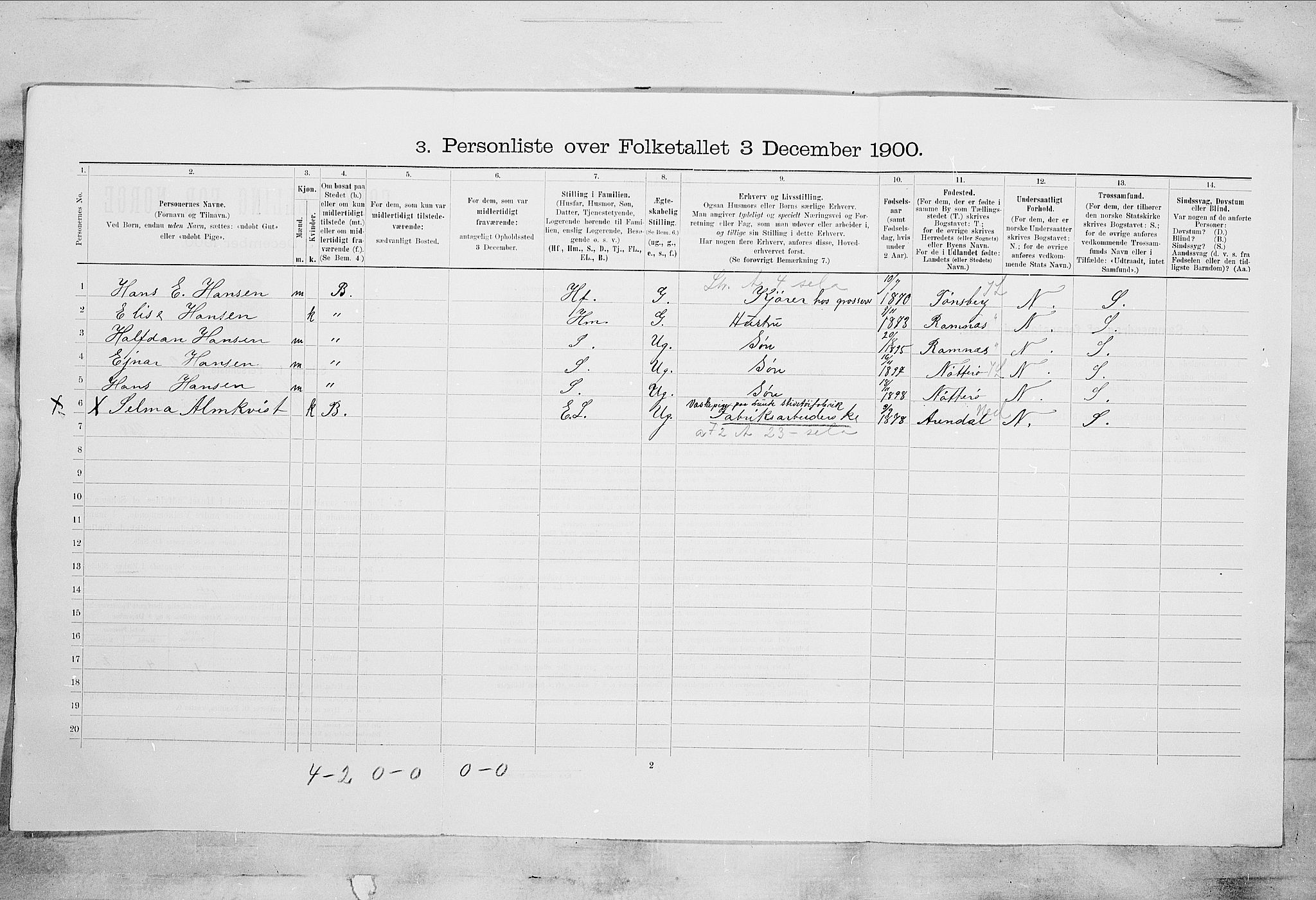 SAKO, 1900 census for Skien, 1900, p. 4617