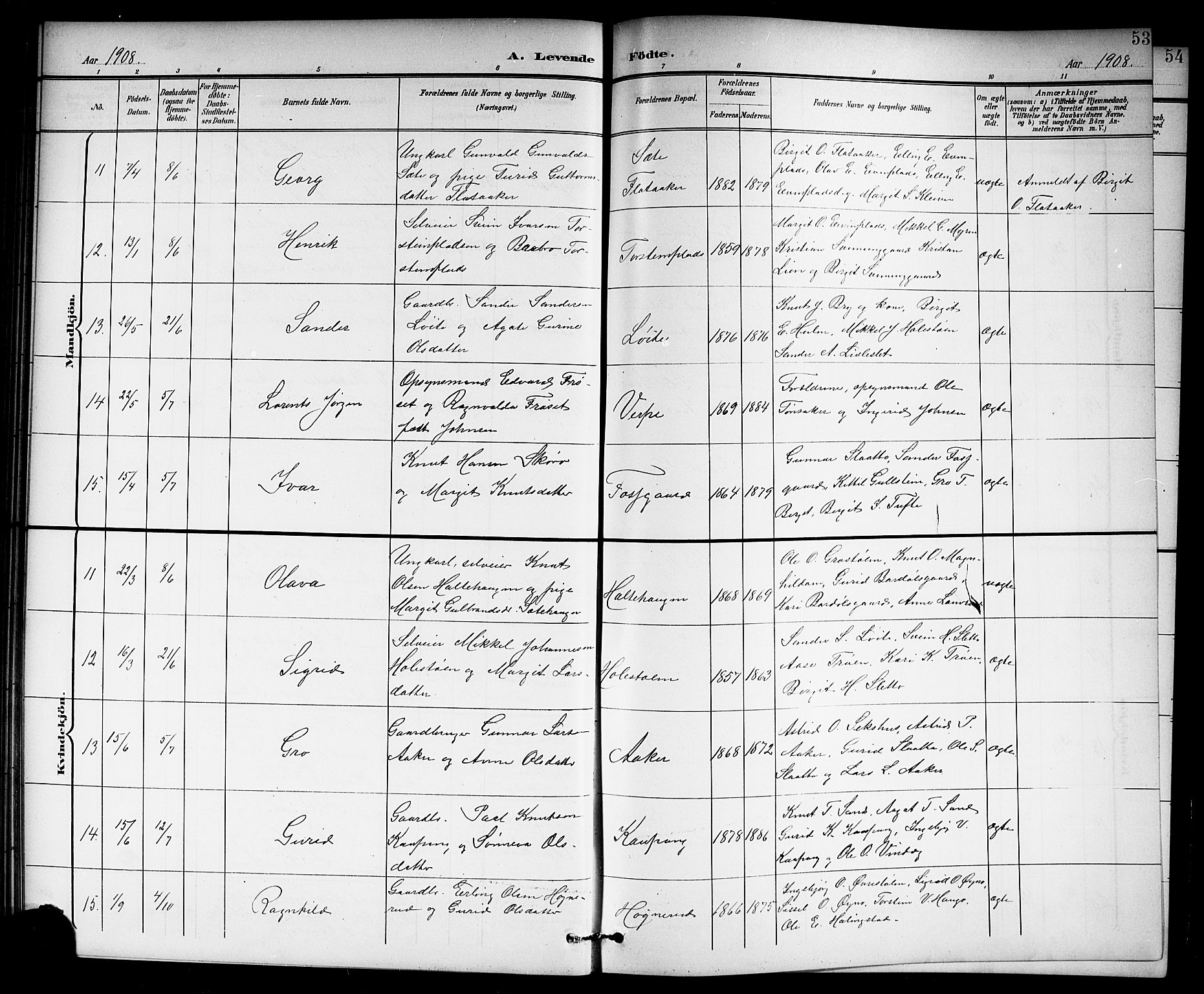 Hol kirkebøker, SAKO/A-227/G/Ga/L0001: Parish register (copy) no. I 1, 1900-1919, p. 53