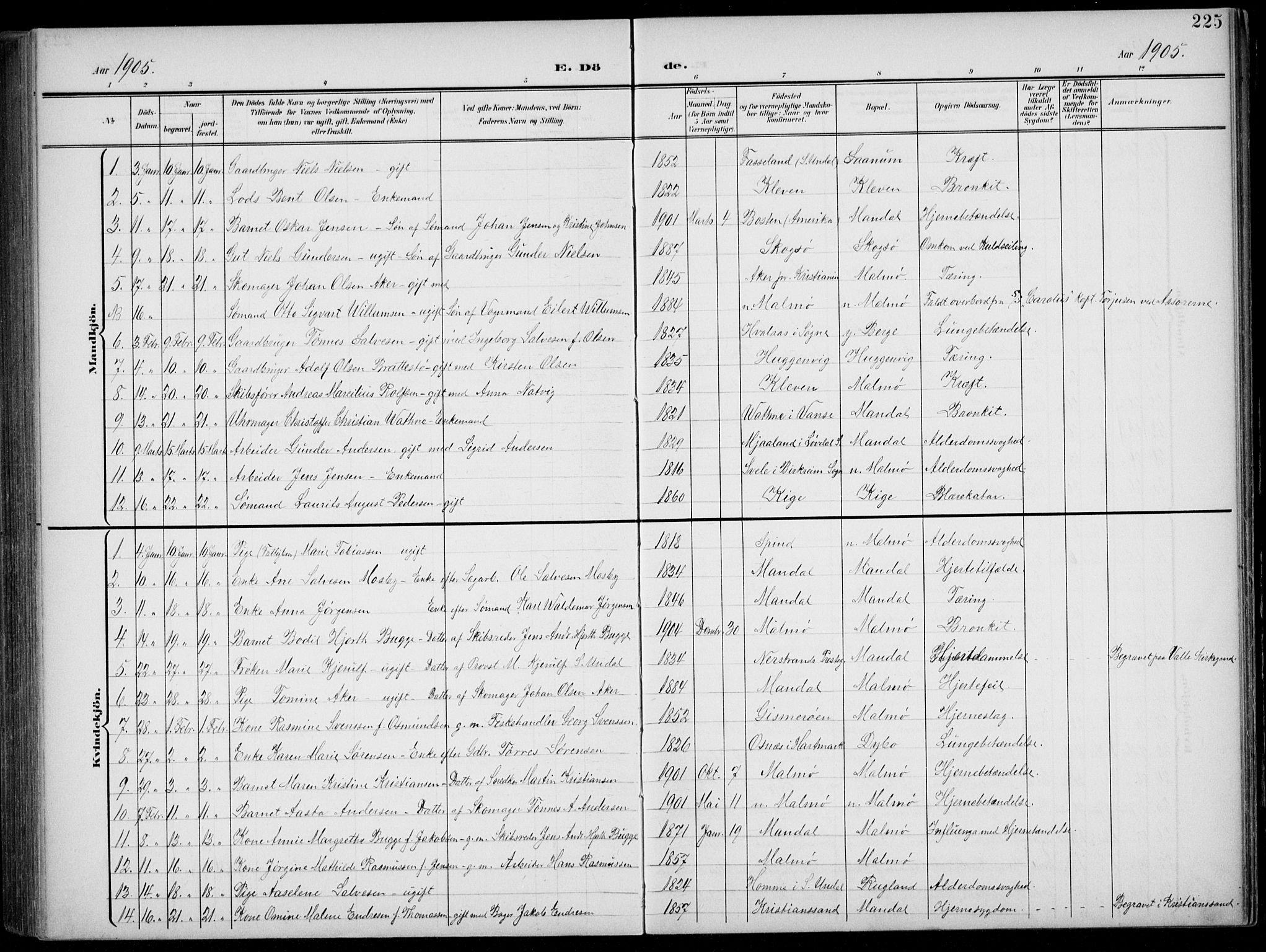 Mandal sokneprestkontor, AV/SAK-1111-0030/F/Fb/Fba/L0012: Parish register (copy) no. B 6, 1899-1918, p. 225