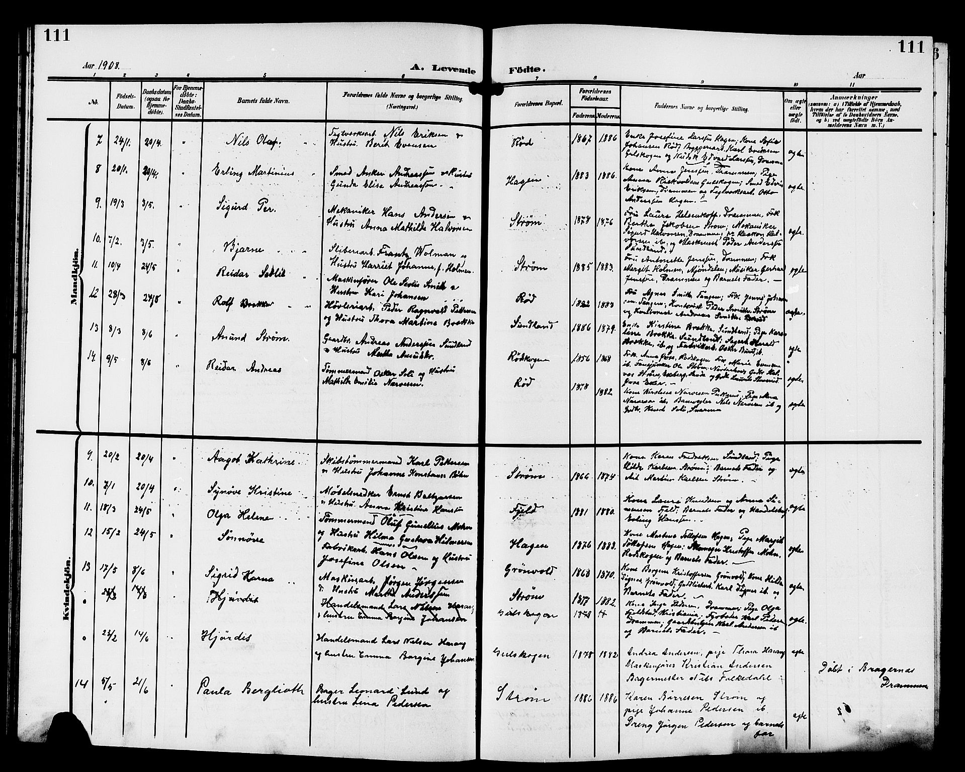 Strømsgodset kirkebøker, AV/SAKO-A-324/G/Ga/L0002: Parish register (copy) no. 2, 1885-1910, p. 111