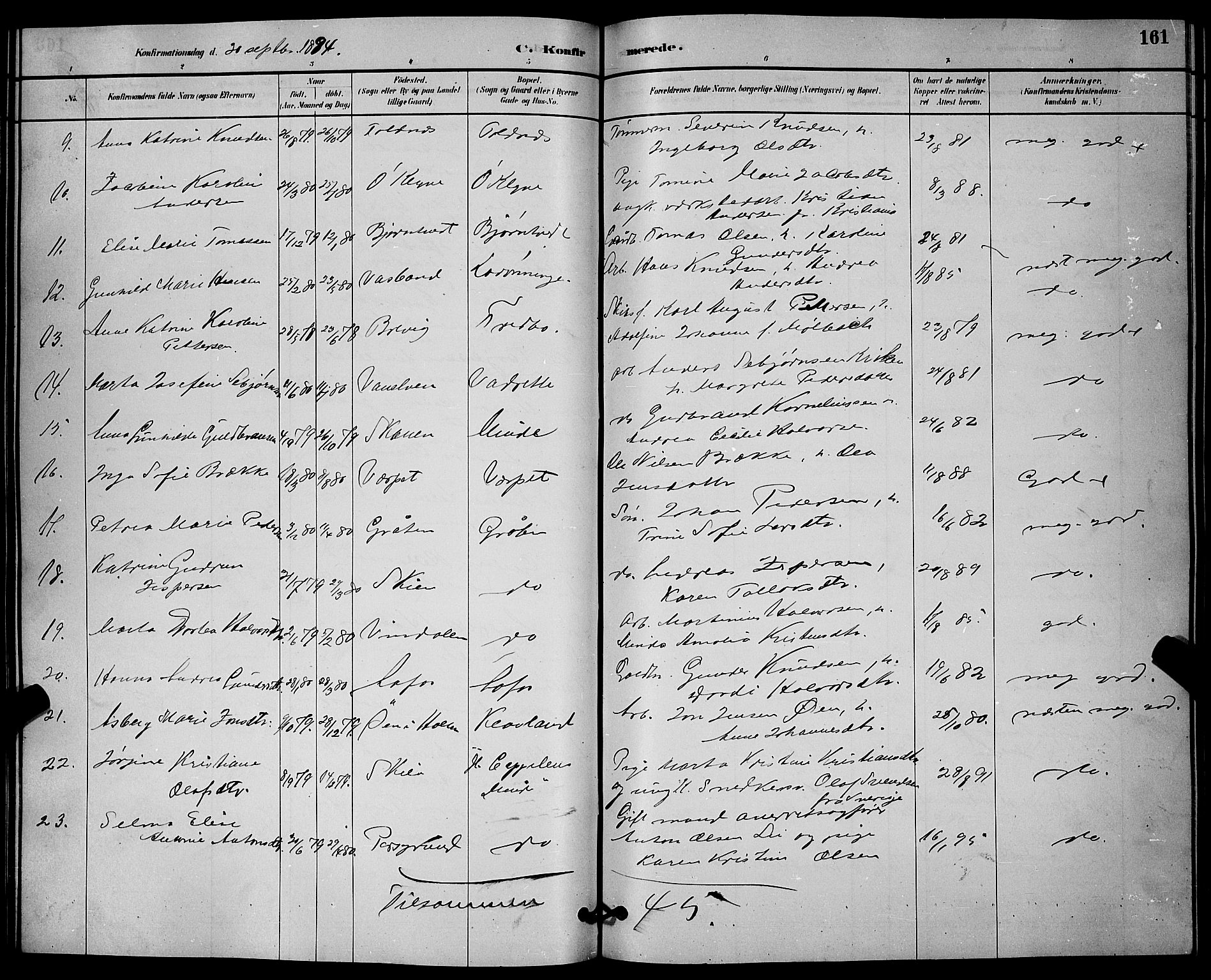Solum kirkebøker, SAKO/A-306/G/Ga/L0007: Parish register (copy) no. I 7, 1884-1898, p. 161