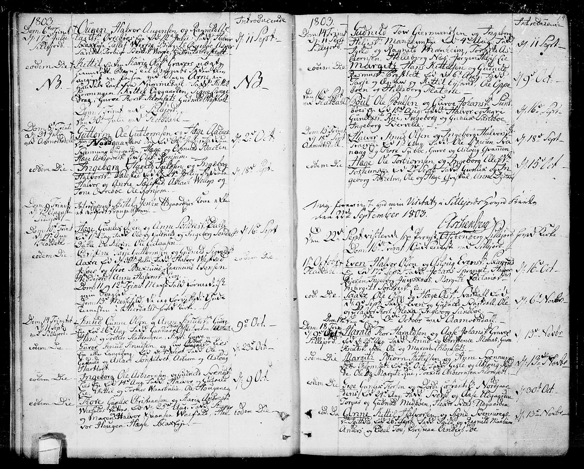 Seljord kirkebøker, SAKO/A-20/F/Fa/L0009: Parish register (official) no. I 9, 1801-1814, p. 14