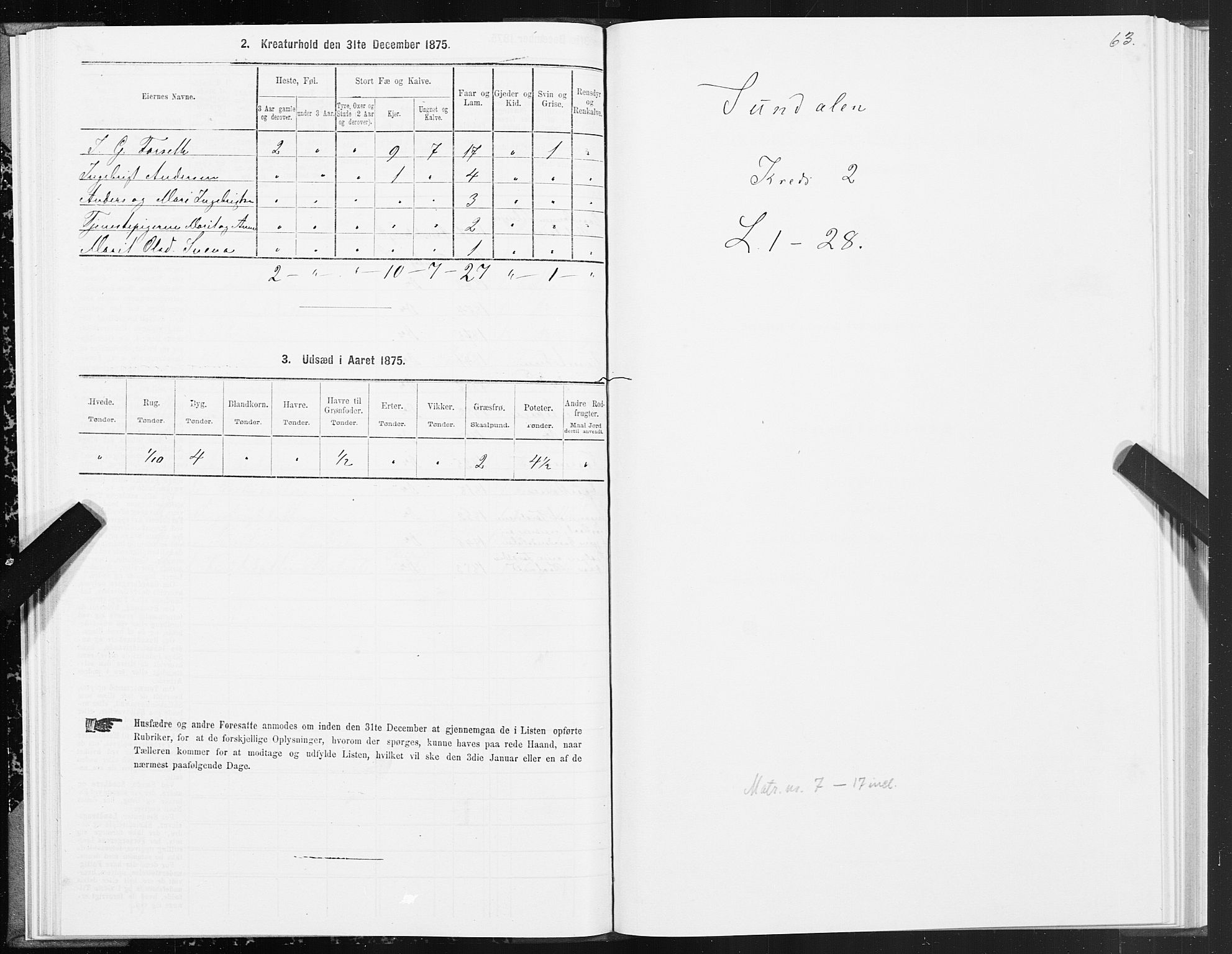 SAT, 1875 census for 1563P Sunndal, 1875, p. 1063