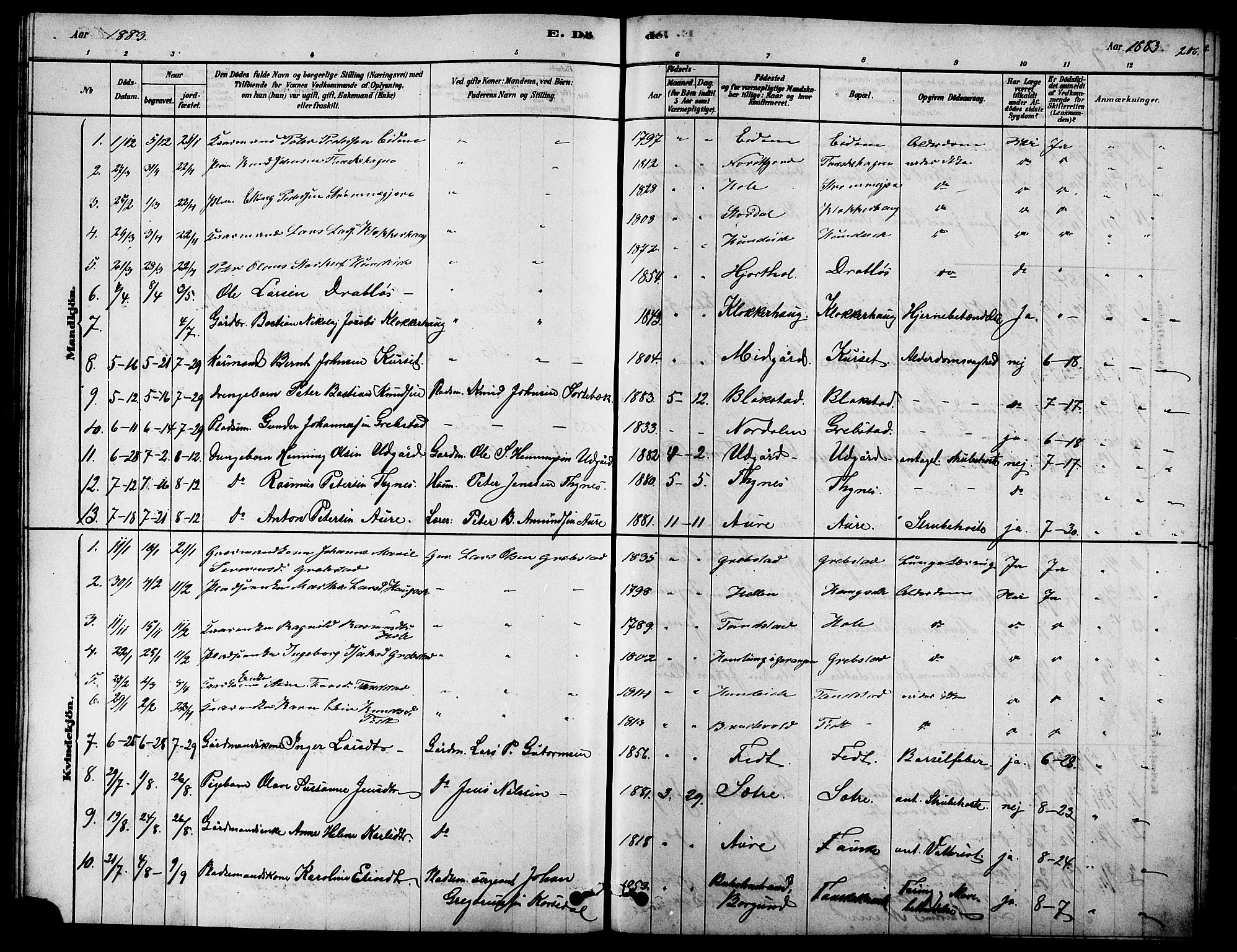 Ministerialprotokoller, klokkerbøker og fødselsregistre - Møre og Romsdal, SAT/A-1454/523/L0339: Parish register (copy) no. 523C02, 1878-1891, p. 206