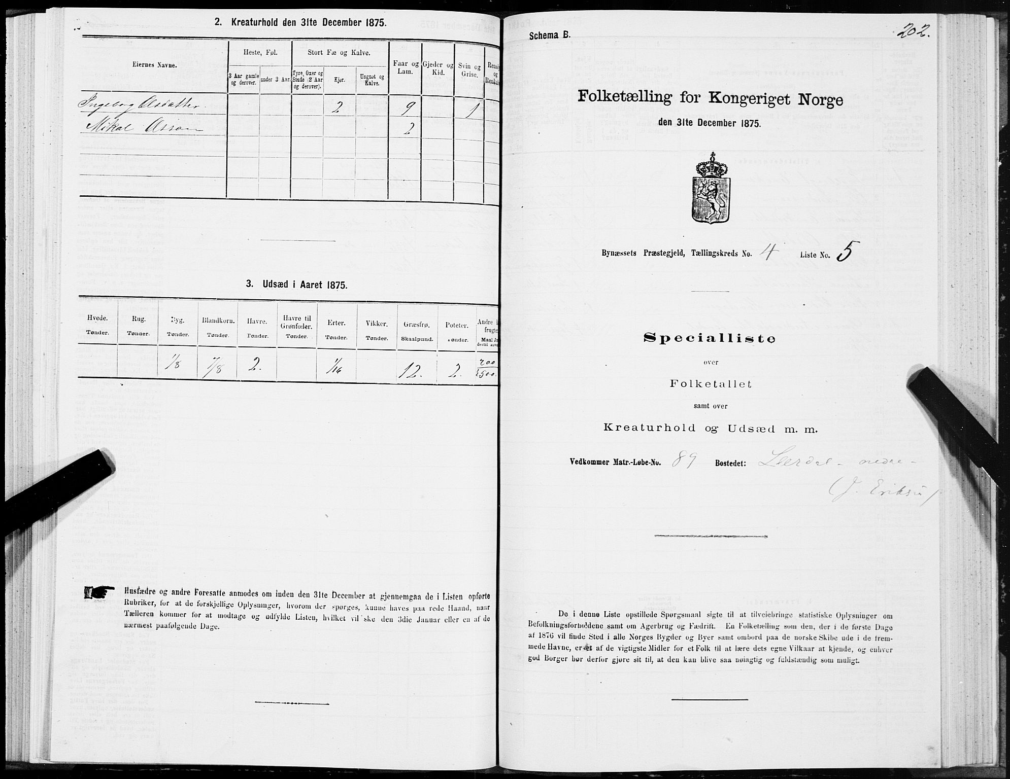 SAT, 1875 census for 1655P Byneset, 1875, p. 2202