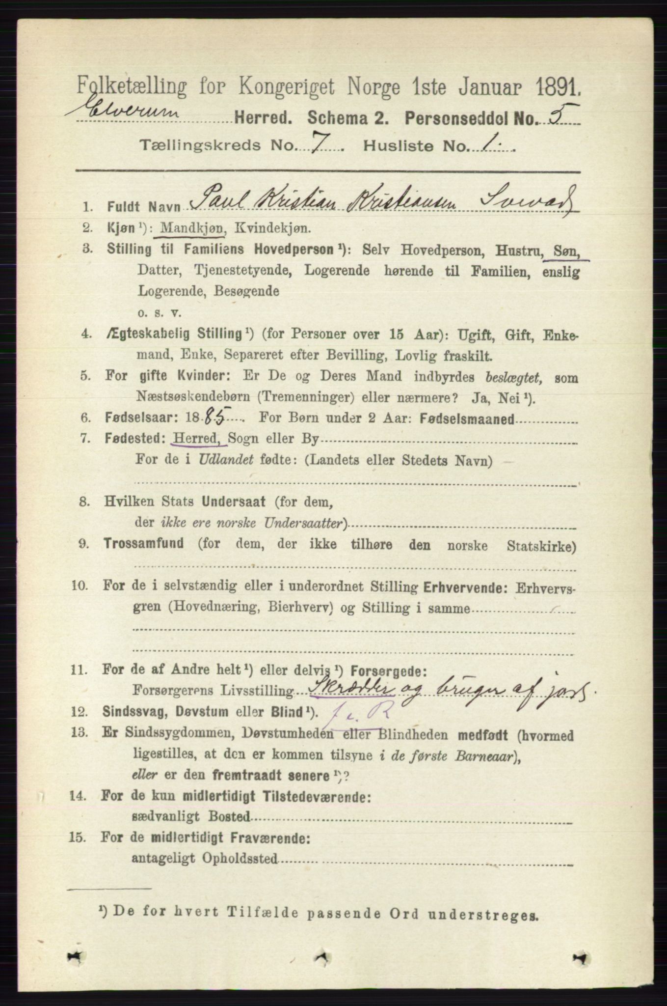 RA, 1891 census for 0427 Elverum, 1891, p. 5675