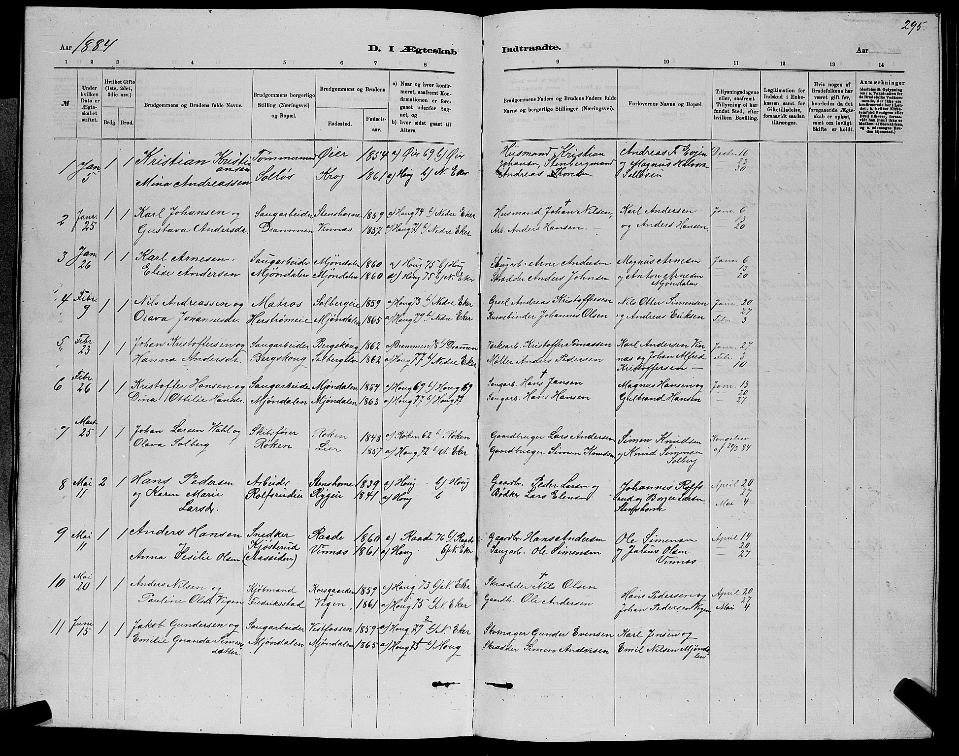 Nedre Eiker kirkebøker, SAKO/A-612/G/Ga/L0002: Parish register (copy) no. 2, 1880-1896, p. 295