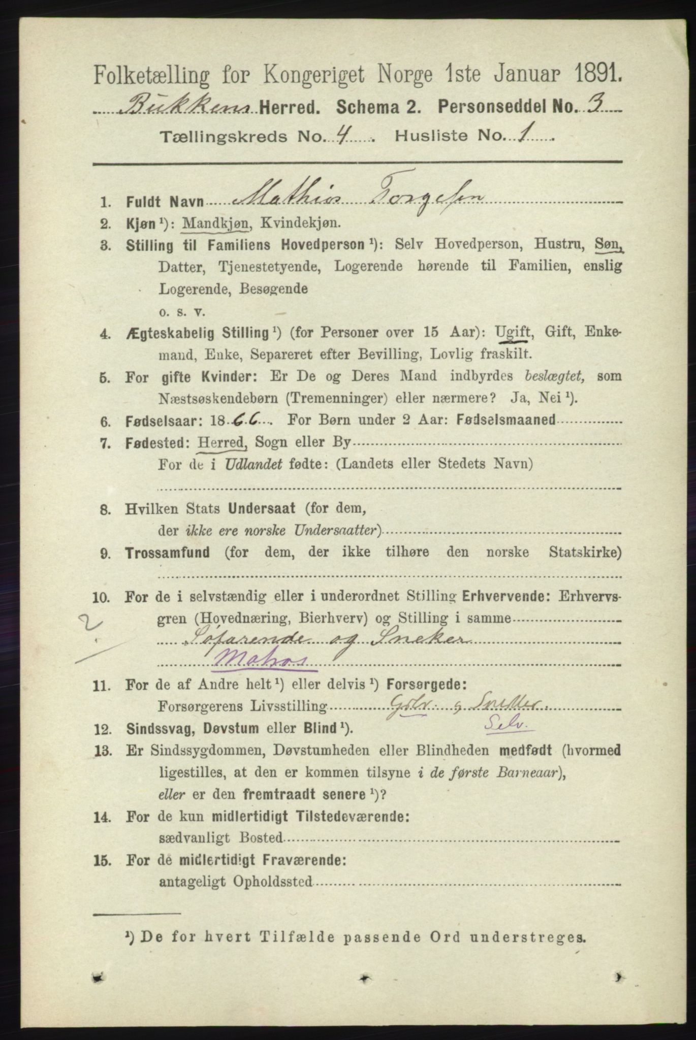 RA, 1891 census for 1145 Bokn, 1891, p. 868