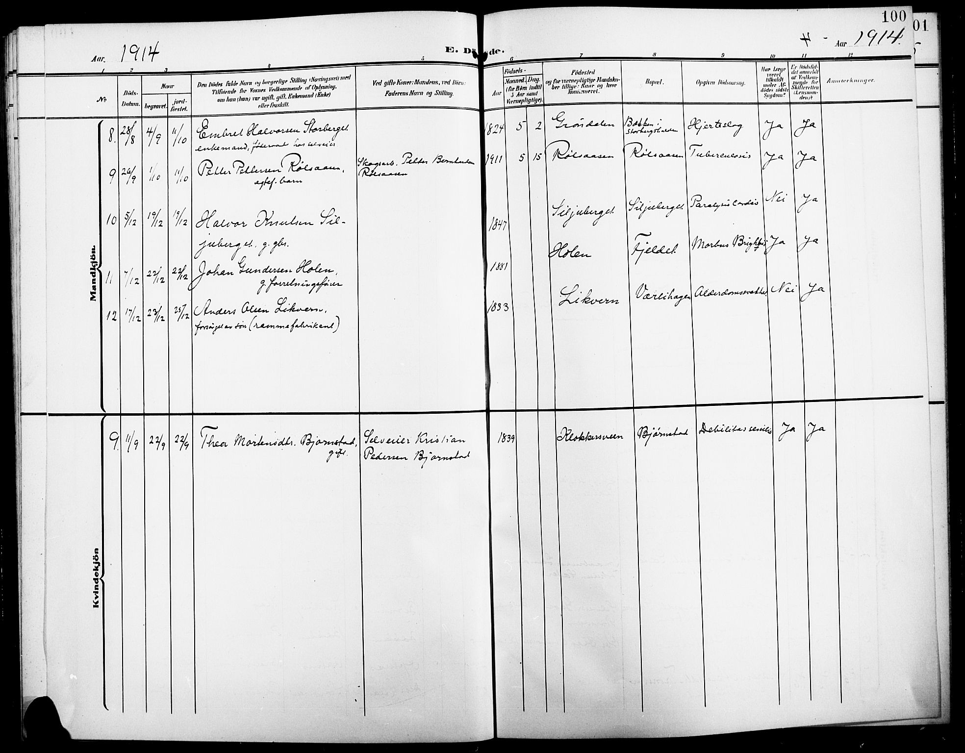 Elverum prestekontor, AV/SAH-PREST-044/H/Ha/Hab/L0008: Parish register (copy) no. 8, 1908-1918, p. 100