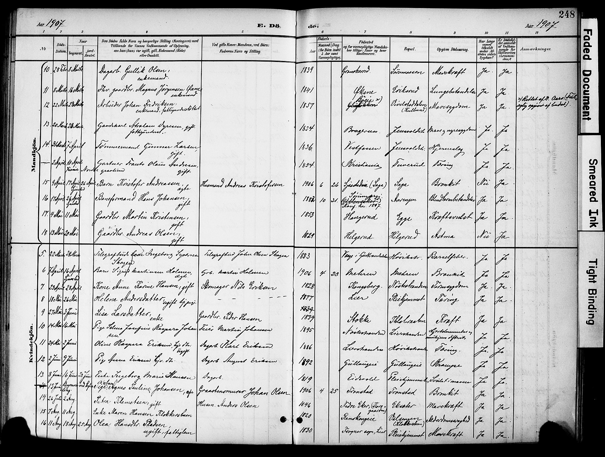 Lier kirkebøker, AV/SAKO-A-230/F/Fa/L0017: Parish register (official) no. I 17, 1901-1908, p. 248