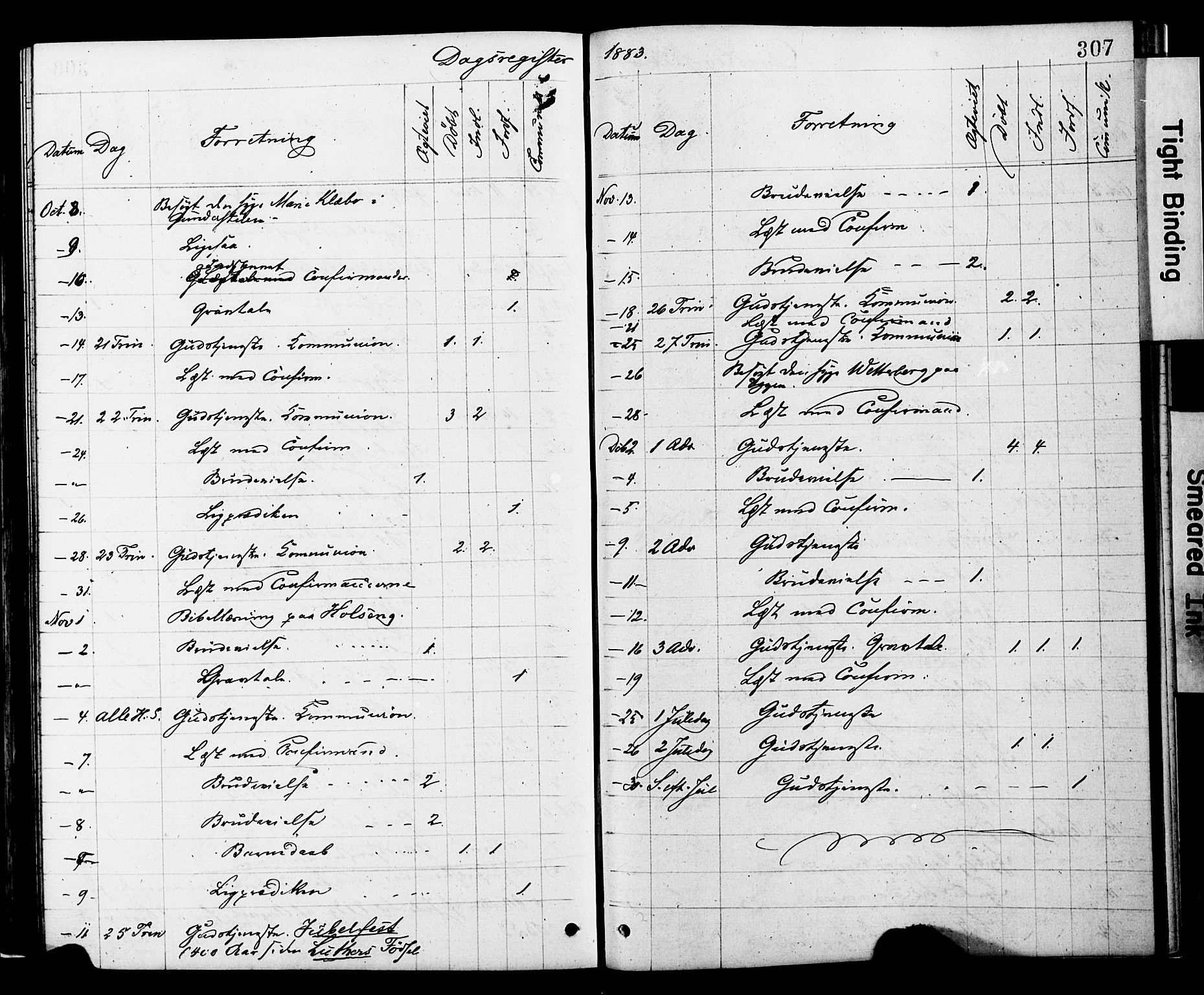 Ministerialprotokoller, klokkerbøker og fødselsregistre - Nord-Trøndelag, SAT/A-1458/749/L0473: Parish register (official) no. 749A07, 1873-1887, p. 307