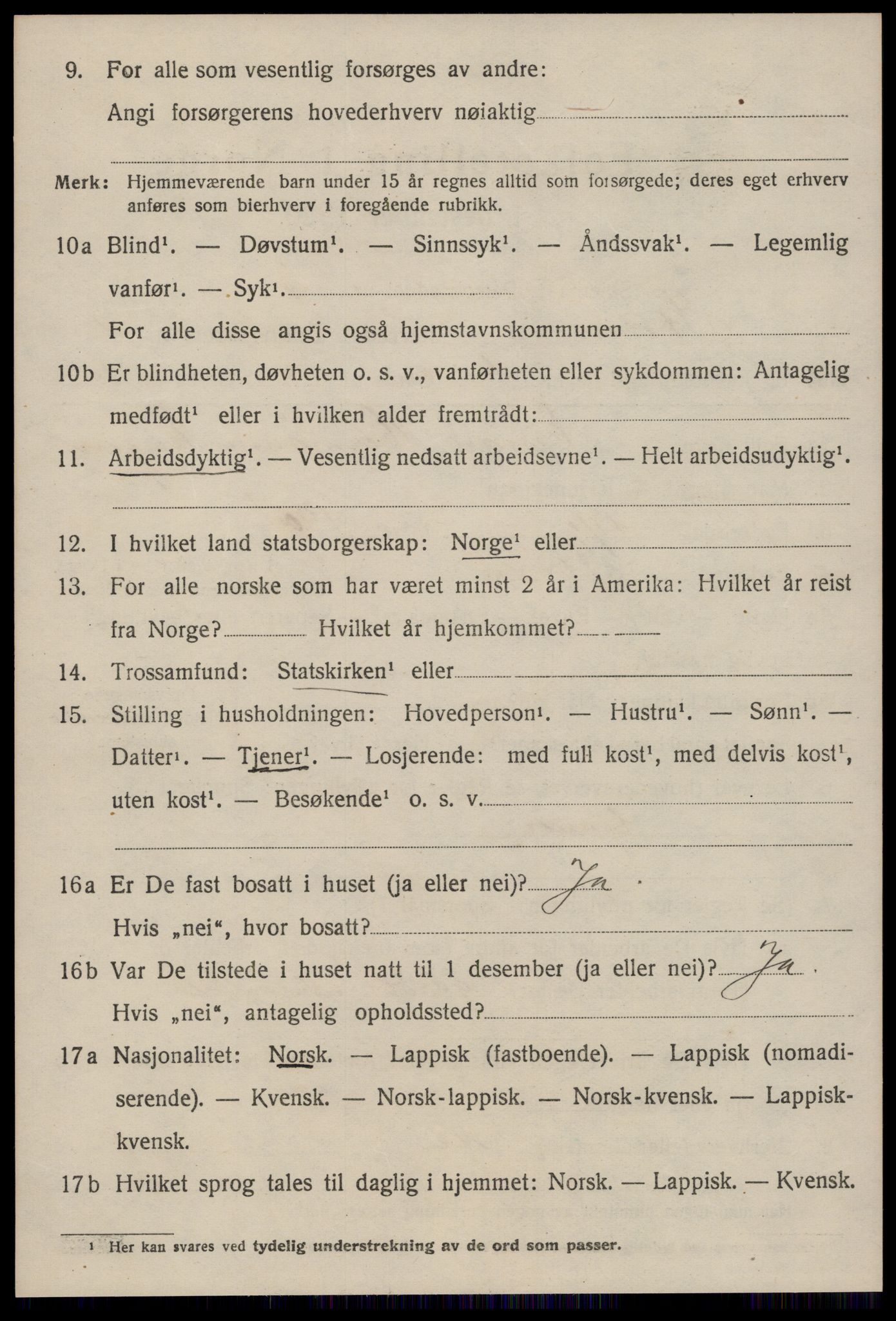 SAT, 1920 census for Støren, 1920, p. 697