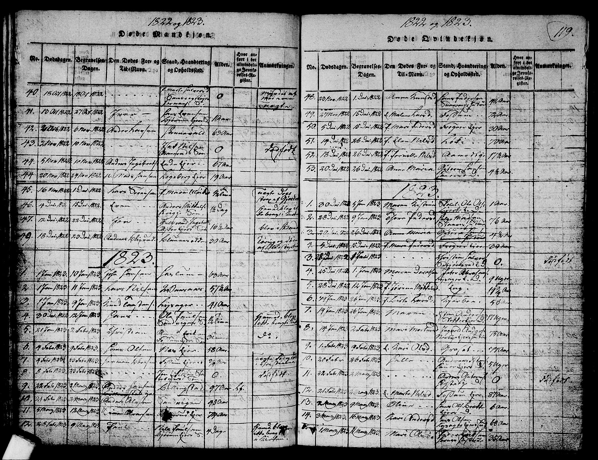 Asker prestekontor Kirkebøker, SAO/A-10256a/G/Ga/L0001: Parish register (copy) no. I 1, 1814-1830, p. 119