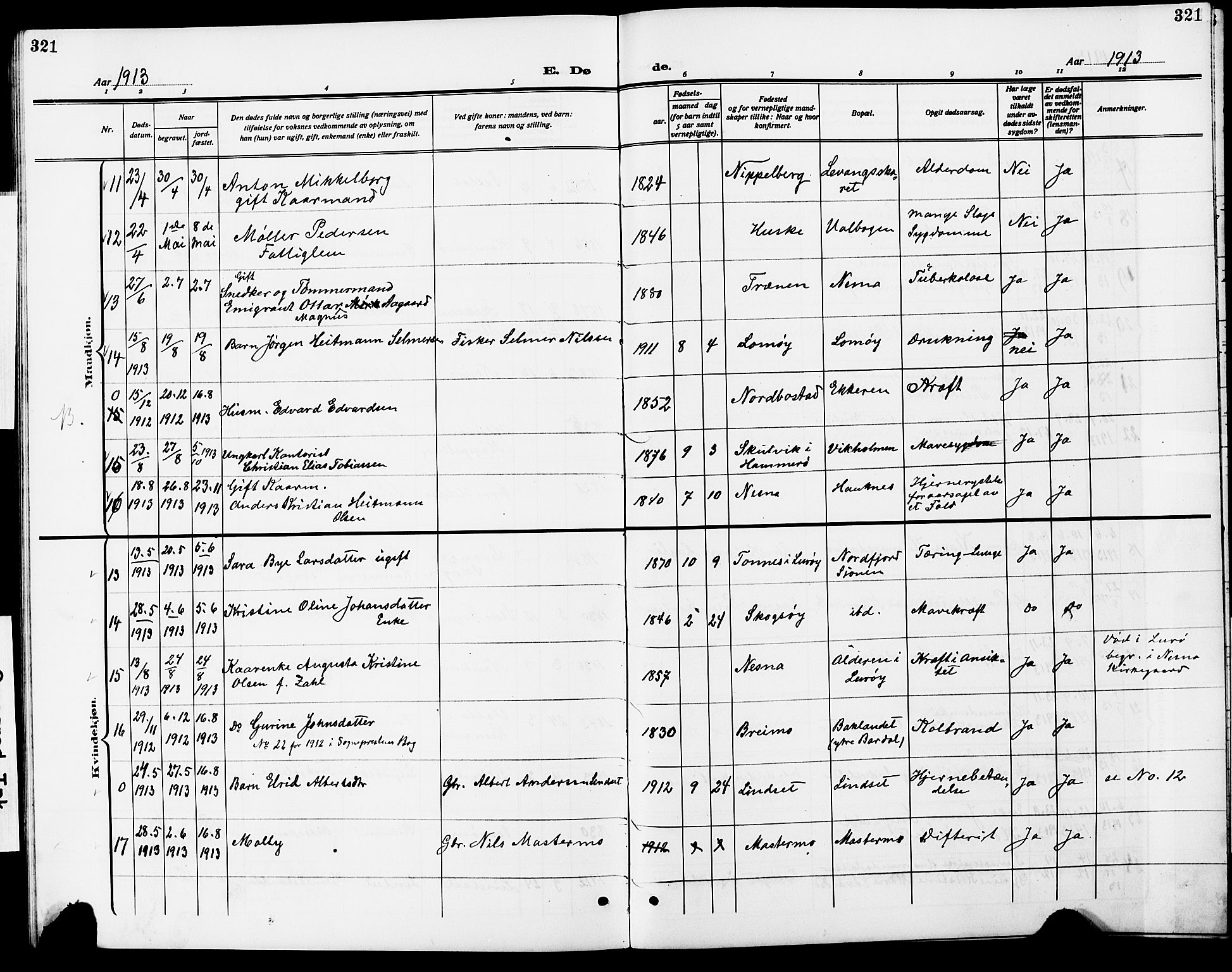 Ministerialprotokoller, klokkerbøker og fødselsregistre - Nordland, AV/SAT-A-1459/838/L0560: Parish register (copy) no. 838C07, 1910-1928, p. 321