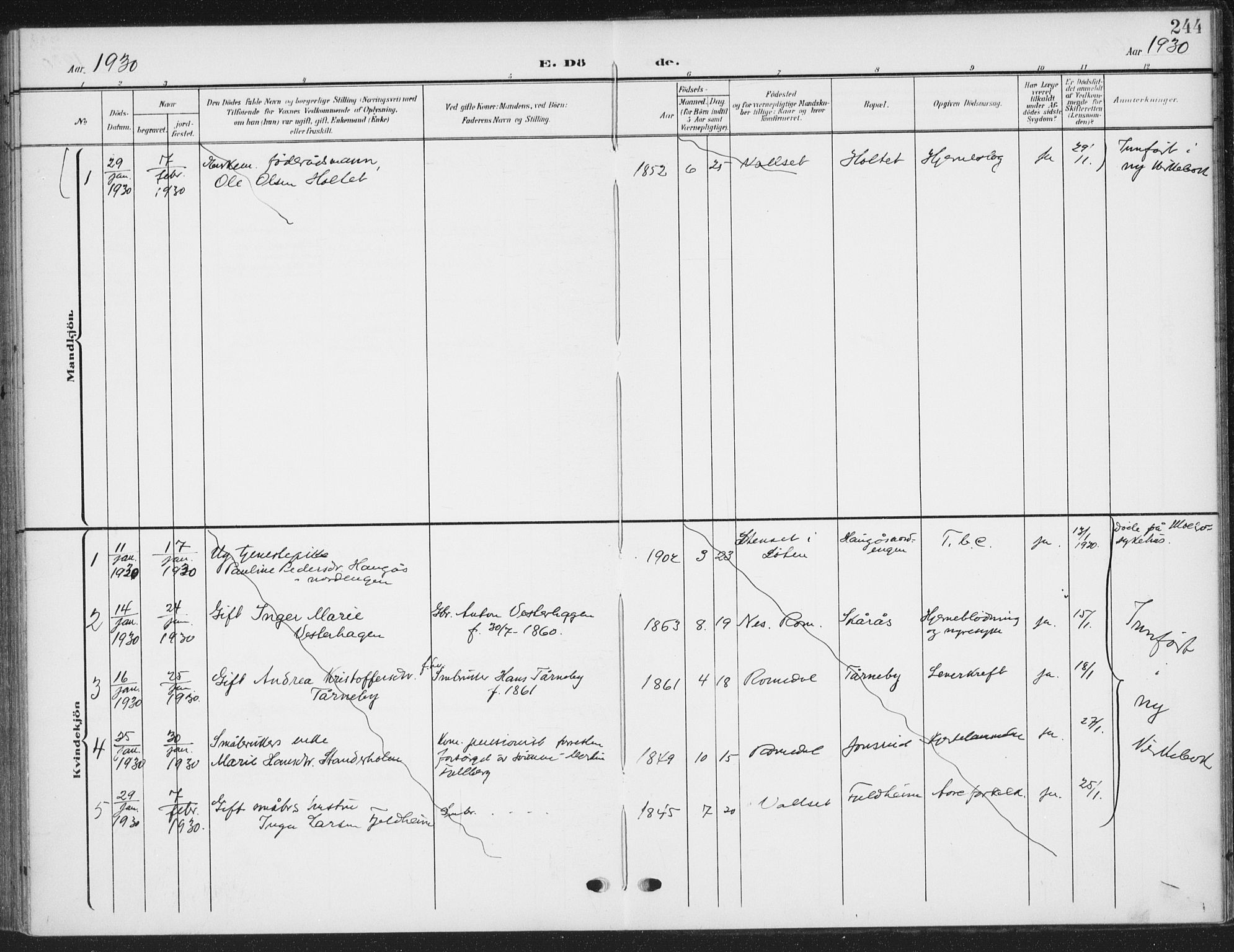 Romedal prestekontor, SAH/PREST-004/K/L0009: Parish register (official) no. 9, 1906-1929, p. 244