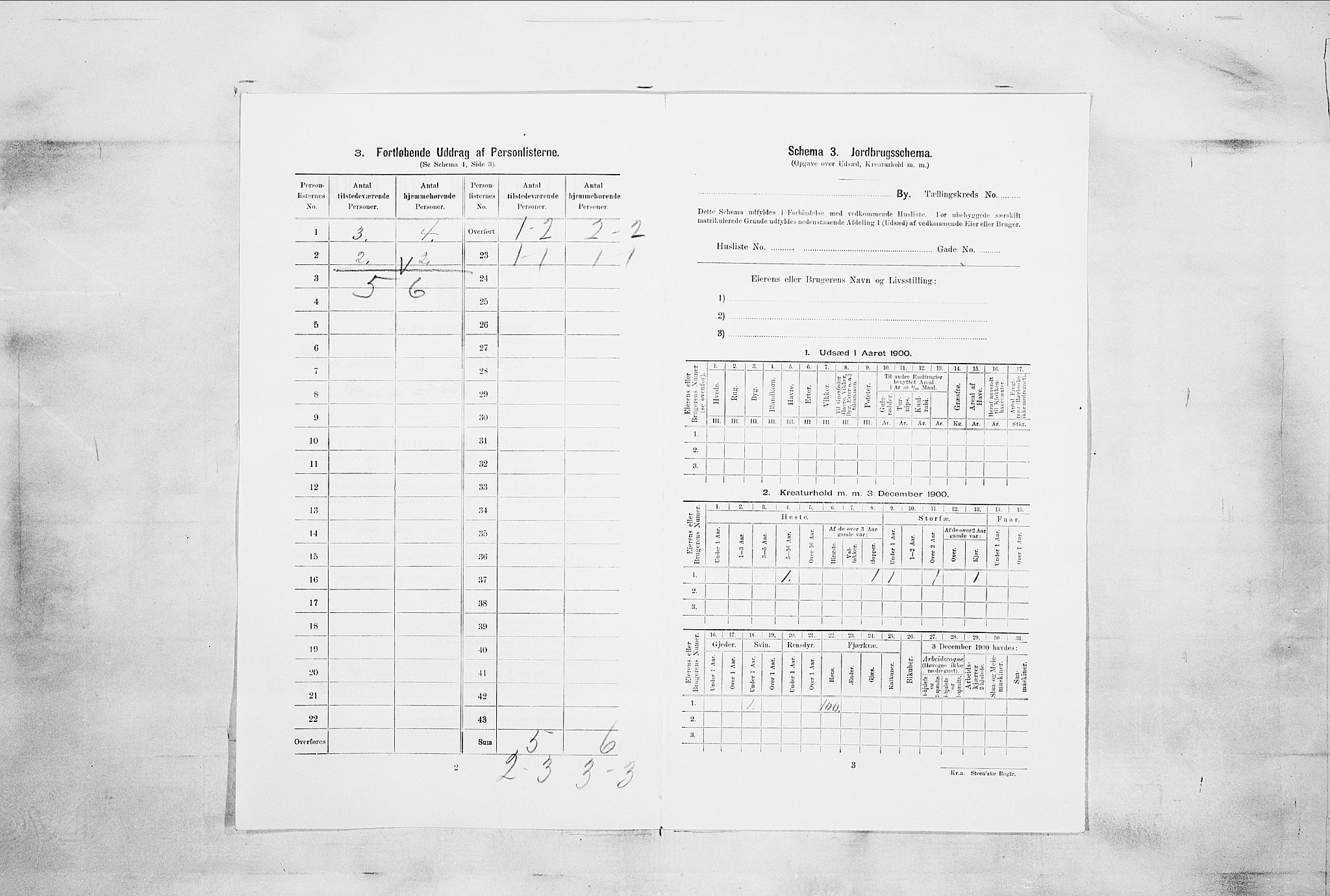 RA, 1900 census for Larvik, 1900, p. 7156