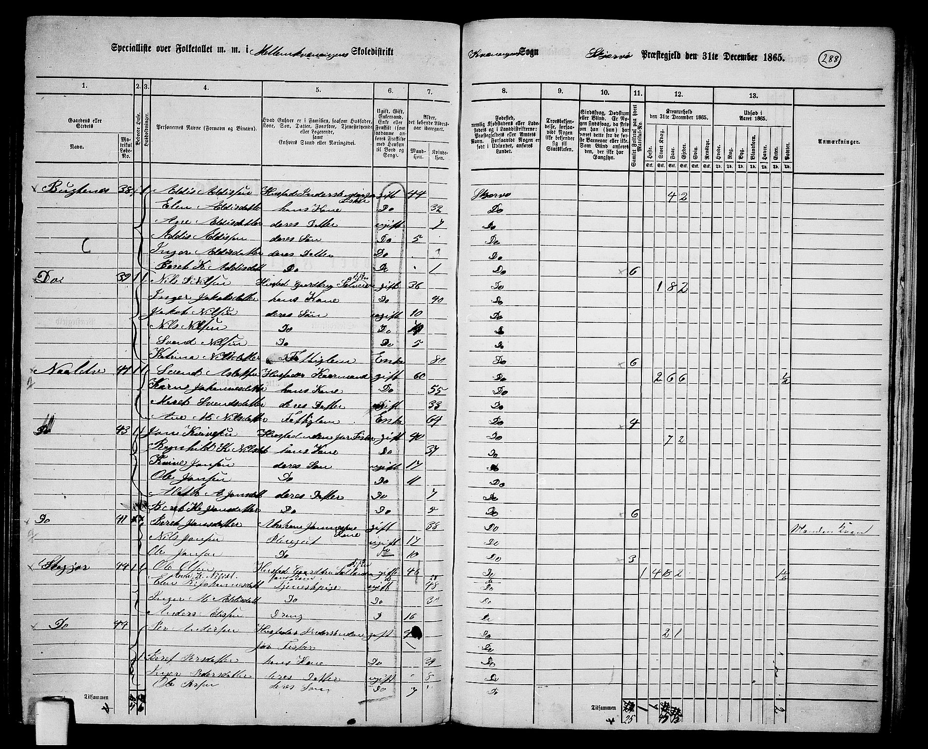 RA, 1865 census for Skjervøy, 1865, p. 162