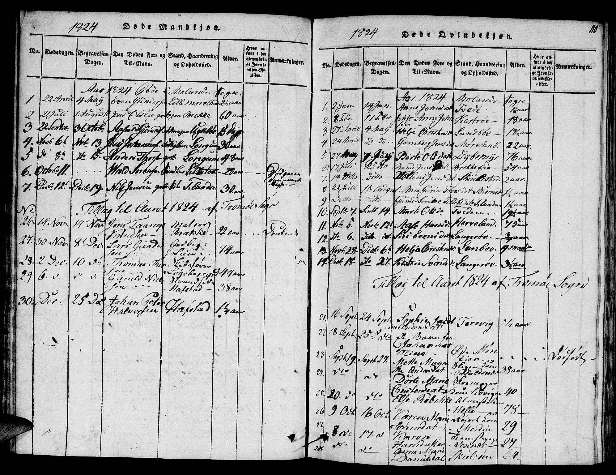 Austre Moland sokneprestkontor, SAK/1111-0001/F/Fa/Faa/L0004: Parish register (official) no. A 4, 1816-1824, p. 110