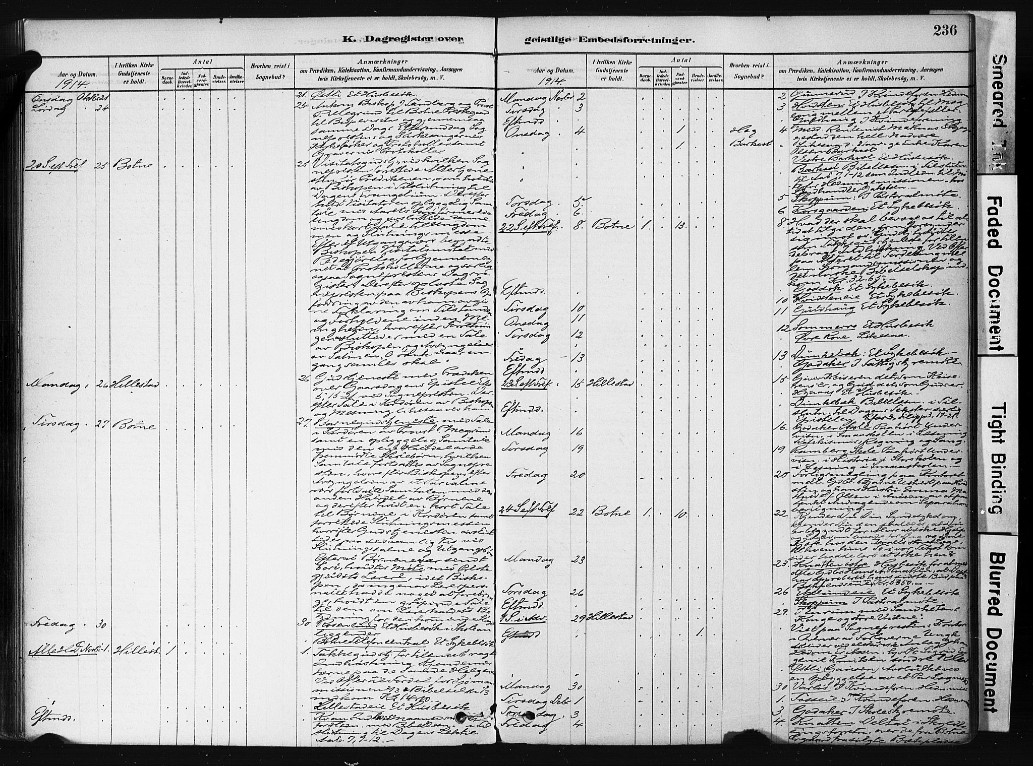 Botne kirkebøker, AV/SAKO-A-340/F/Fb/L0001: Parish register (official) no. II 1, 1878-1902, p. 236