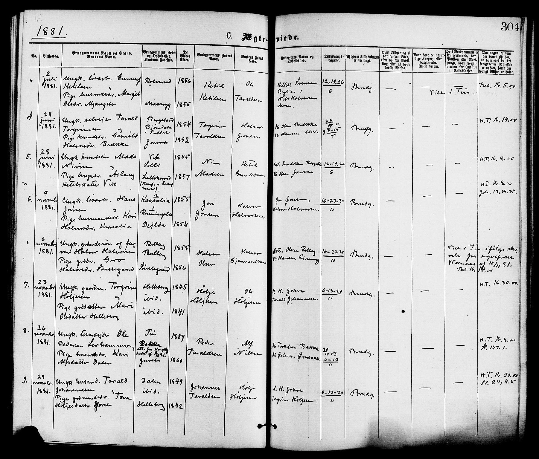 Gransherad kirkebøker, SAKO/A-267/F/Fa/L0004: Parish register (official) no. I 4, 1871-1886, p. 304