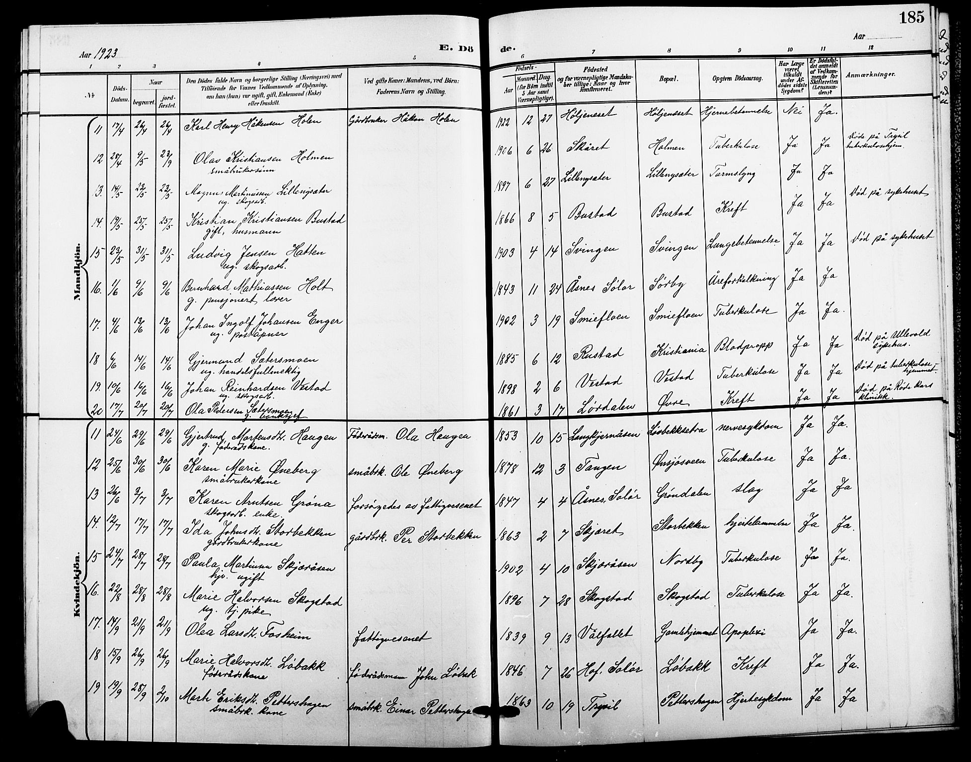 Trysil prestekontor, AV/SAH-PREST-046/H/Ha/Hab/L0009: Parish register (copy) no. 9, 1904-1924, p. 185