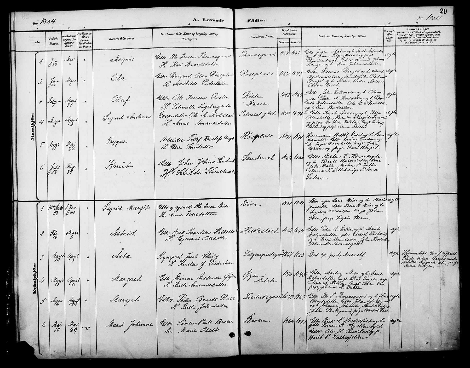 Tolga prestekontor, AV/SAH-PREST-062/L/L0009: Parish register (copy) no. 9, 1892-1919, p. 29