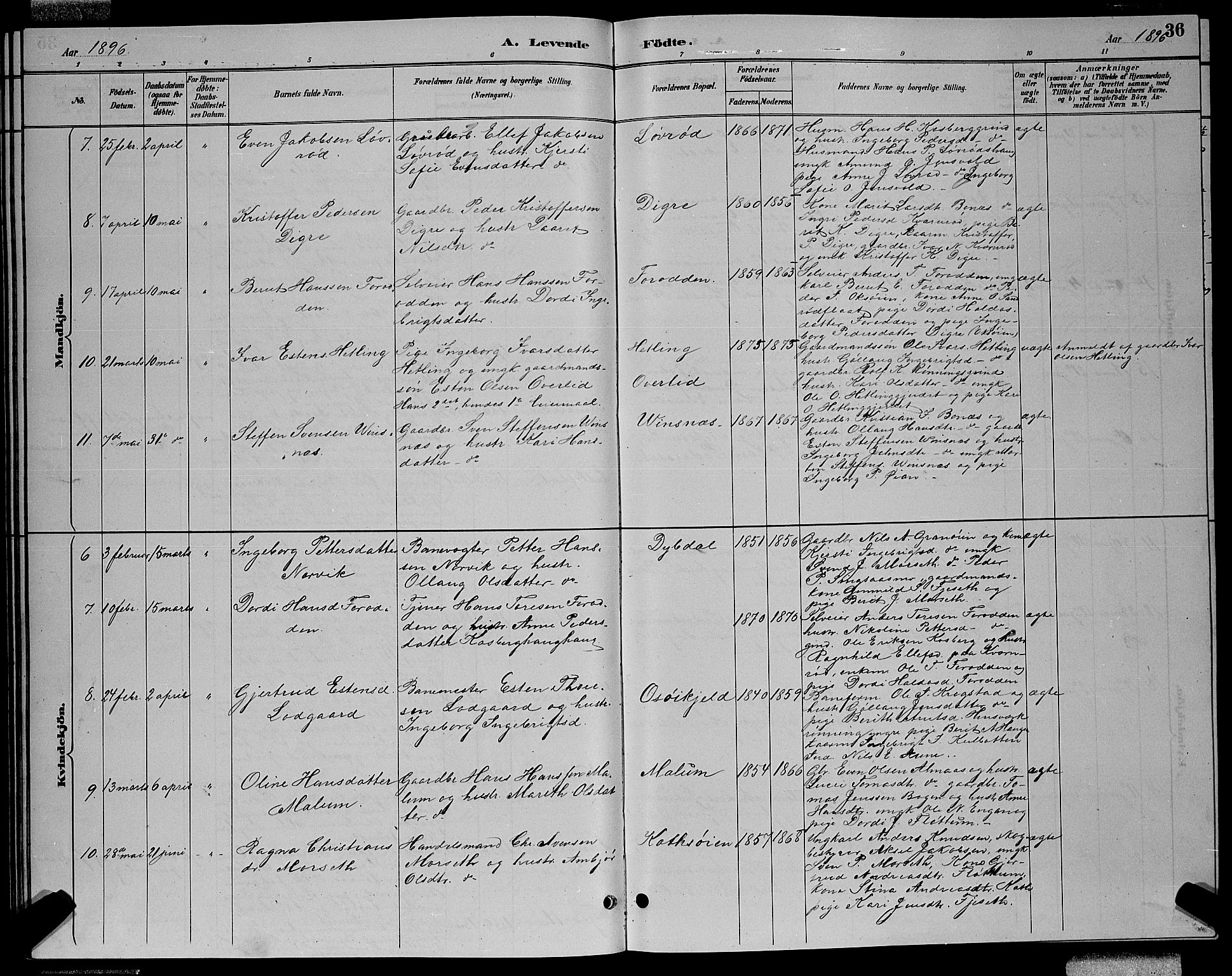 Ministerialprotokoller, klokkerbøker og fødselsregistre - Sør-Trøndelag, SAT/A-1456/688/L1028: Parish register (copy) no. 688C03, 1889-1899, p. 36