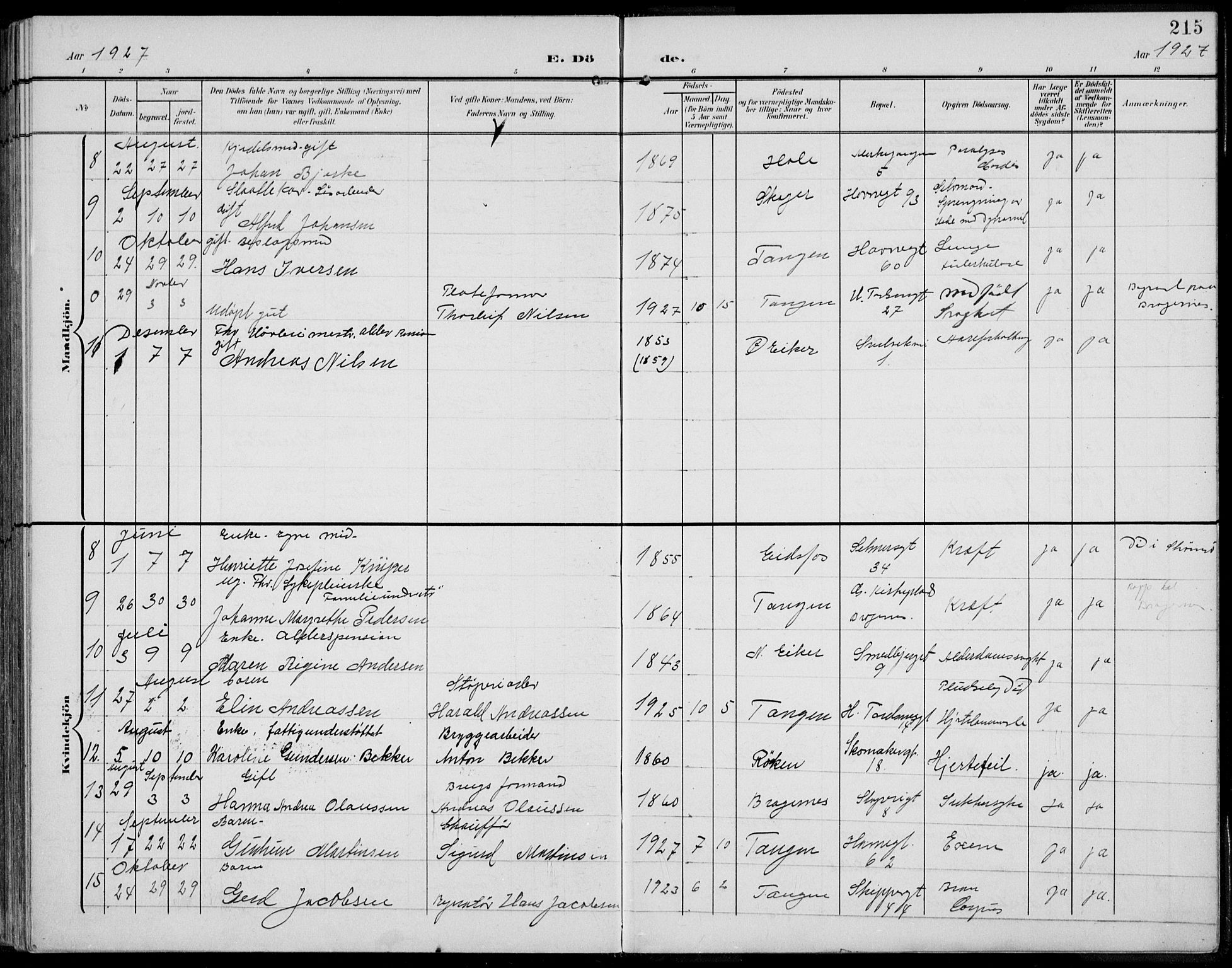 Strømsø kirkebøker, AV/SAKO-A-246/F/Fb/L0008: Parish register (official) no. II 8, 1902-1933, p. 215