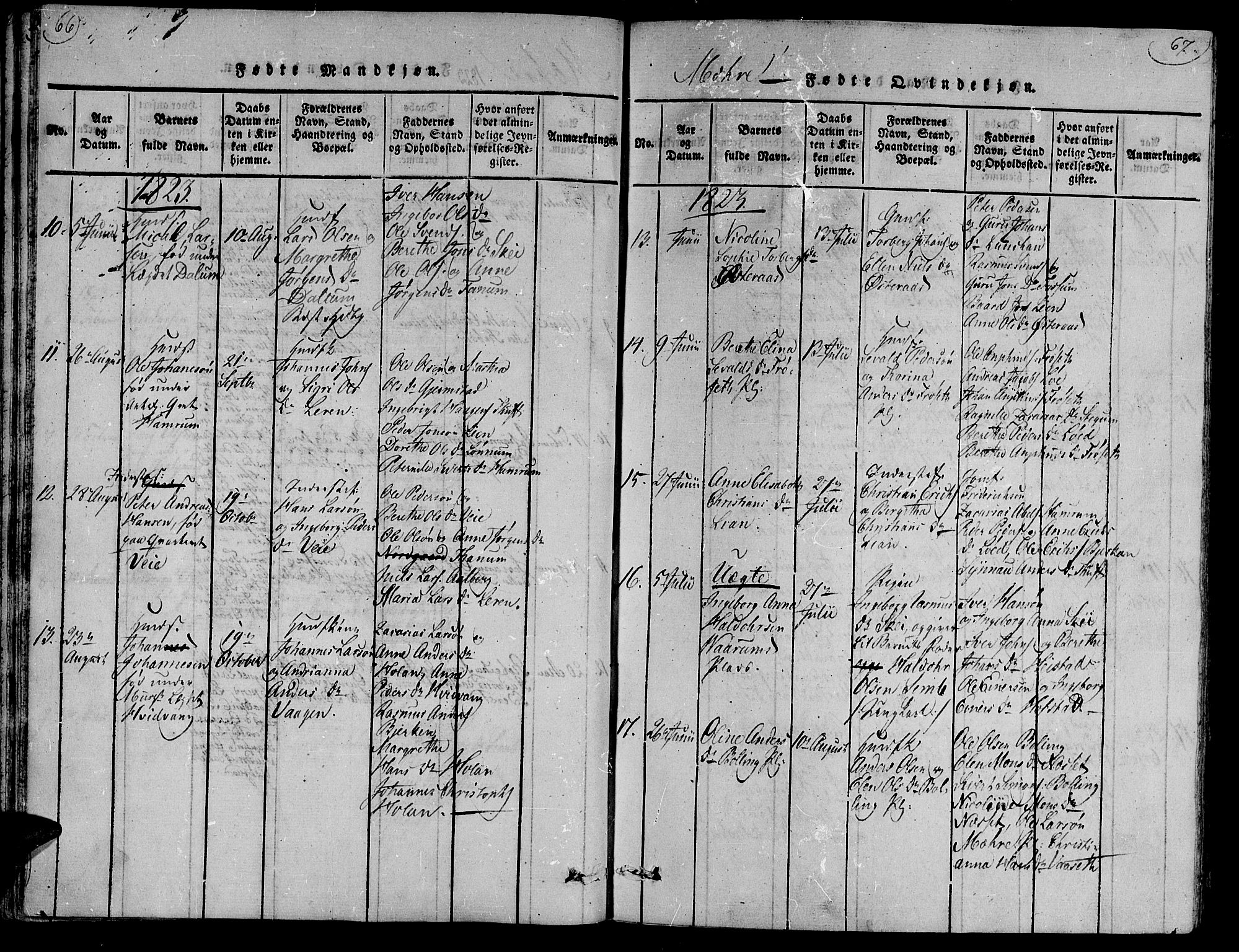 Ministerialprotokoller, klokkerbøker og fødselsregistre - Nord-Trøndelag, AV/SAT-A-1458/735/L0333: Parish register (official) no. 735A04 /1, 1816-1824, p. 66-67