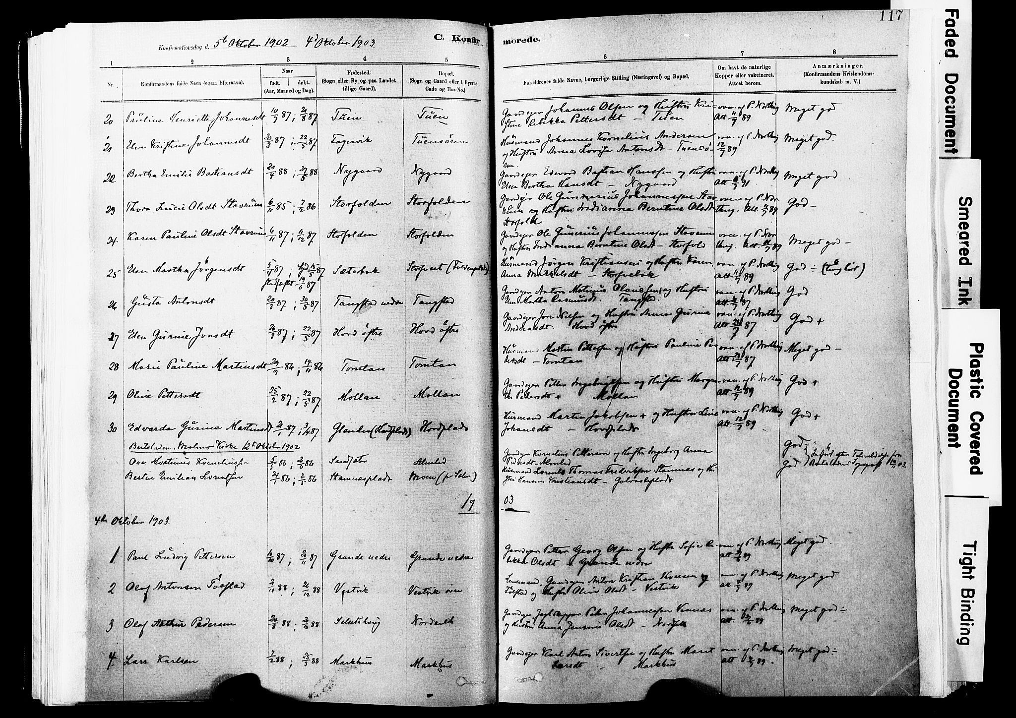 Ministerialprotokoller, klokkerbøker og fødselsregistre - Nord-Trøndelag, AV/SAT-A-1458/744/L0420: Parish register (official) no. 744A04, 1882-1904, p. 117