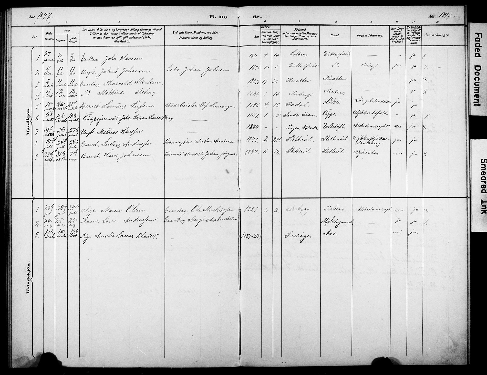 Borre kirkebøker, AV/SAKO-A-338/G/Gb/L0003: Parish register (copy) no. II 3, 1893-1905