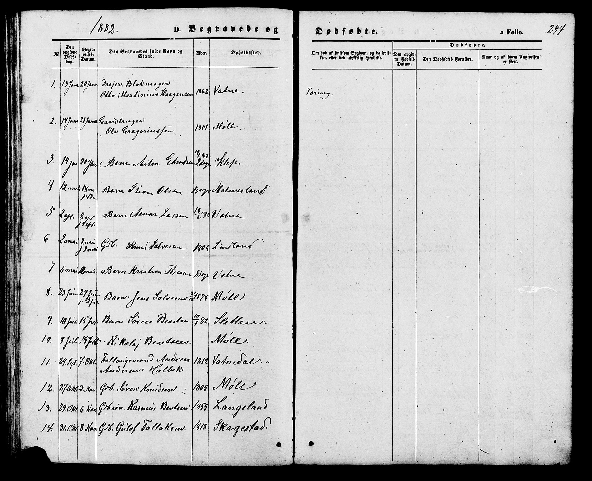 Holum sokneprestkontor, SAK/1111-0022/F/Fb/Fba/L0004: Parish register (copy) no. B 4, 1867-1890, p. 294