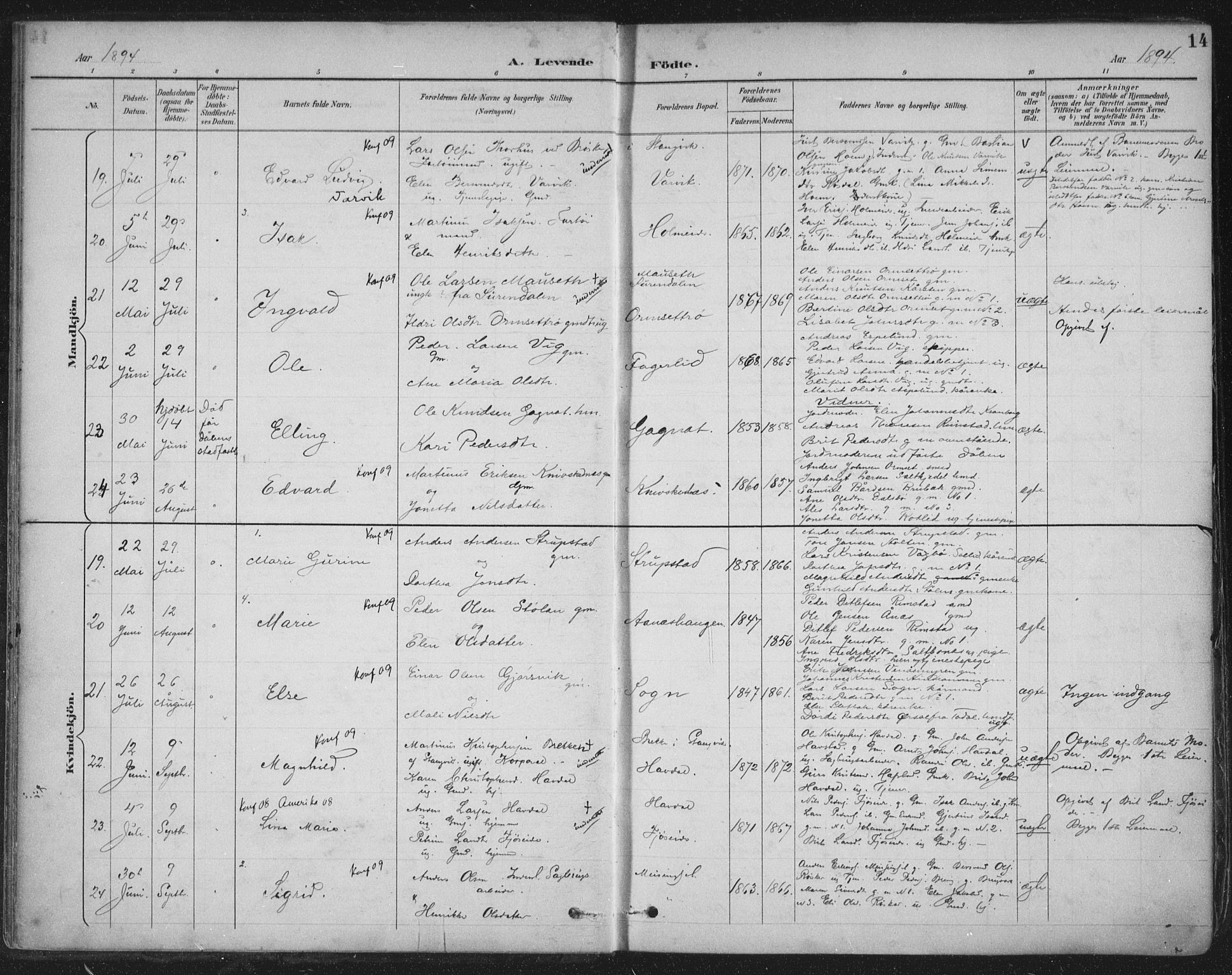 Ministerialprotokoller, klokkerbøker og fødselsregistre - Møre og Romsdal, AV/SAT-A-1454/586/L0988: Parish register (official) no. 586A14, 1893-1905, p. 14