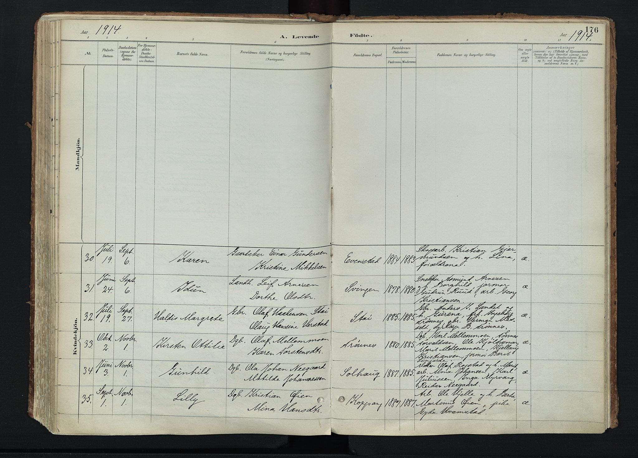 Stor-Elvdal prestekontor, AV/SAH-PREST-052/H/Ha/Haa/L0004: Parish register (official) no. 4, 1890-1922, p. 176